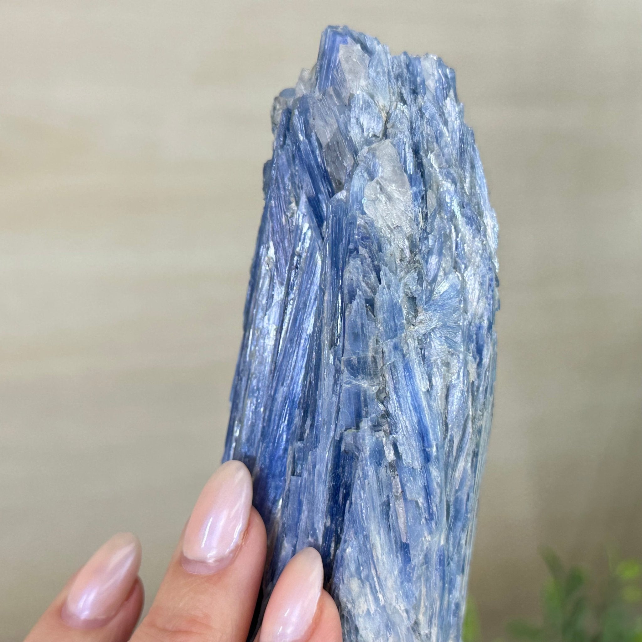 Kyanite Crystal on Metal Stand, 1.9 lbs & 9.8" Tall #6010 - 0006 - Brazil GemsBrazil GemsKyanite Crystal on Metal Stand, 1.9 lbs & 9.8" Tall #6010 - 0006Clusters on Fixed Bases6010 - 0006