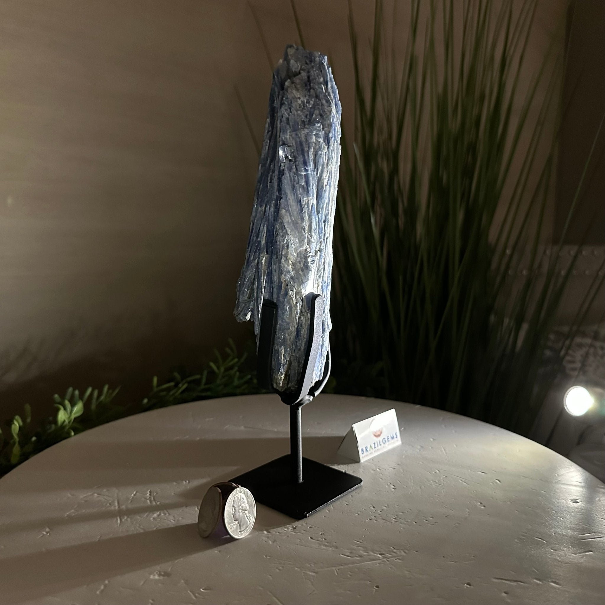 Kyanite Crystal on Metal Stand, 1.9 lbs & 9.8" Tall #6010 - 0006 - Brazil GemsBrazil GemsKyanite Crystal on Metal Stand, 1.9 lbs & 9.8" Tall #6010 - 0006Clusters on Fixed Bases6010 - 0006