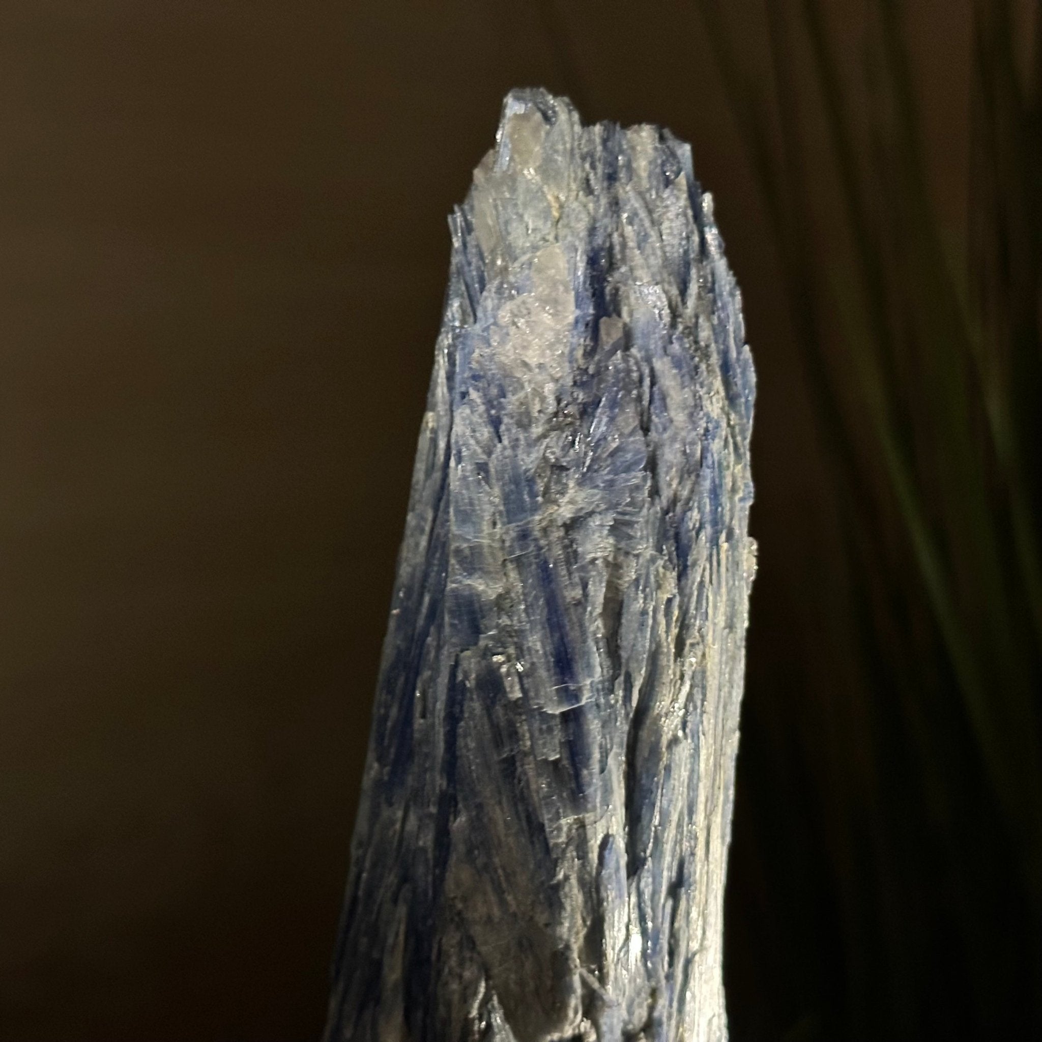 Kyanite Crystal on Metal Stand, 1.9 lbs & 9.8" Tall #6010 - 0006 - Brazil GemsBrazil GemsKyanite Crystal on Metal Stand, 1.9 lbs & 9.8" Tall #6010 - 0006Clusters on Fixed Bases6010 - 0006