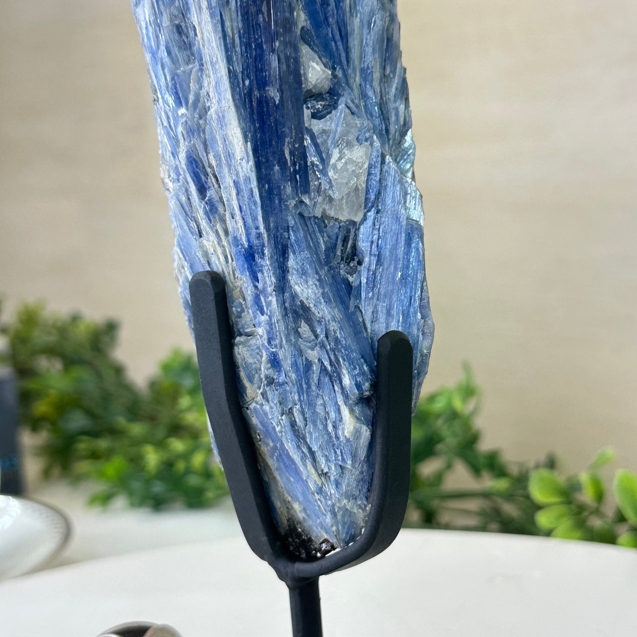 Kyanite Crystal on Metal Stand, 1.9 lbs & 9.8" Tall #6010 - 0006 - Brazil GemsBrazil GemsKyanite Crystal on Metal Stand, 1.9 lbs & 9.8" Tall #6010 - 0006Clusters on Fixed Bases6010 - 0006