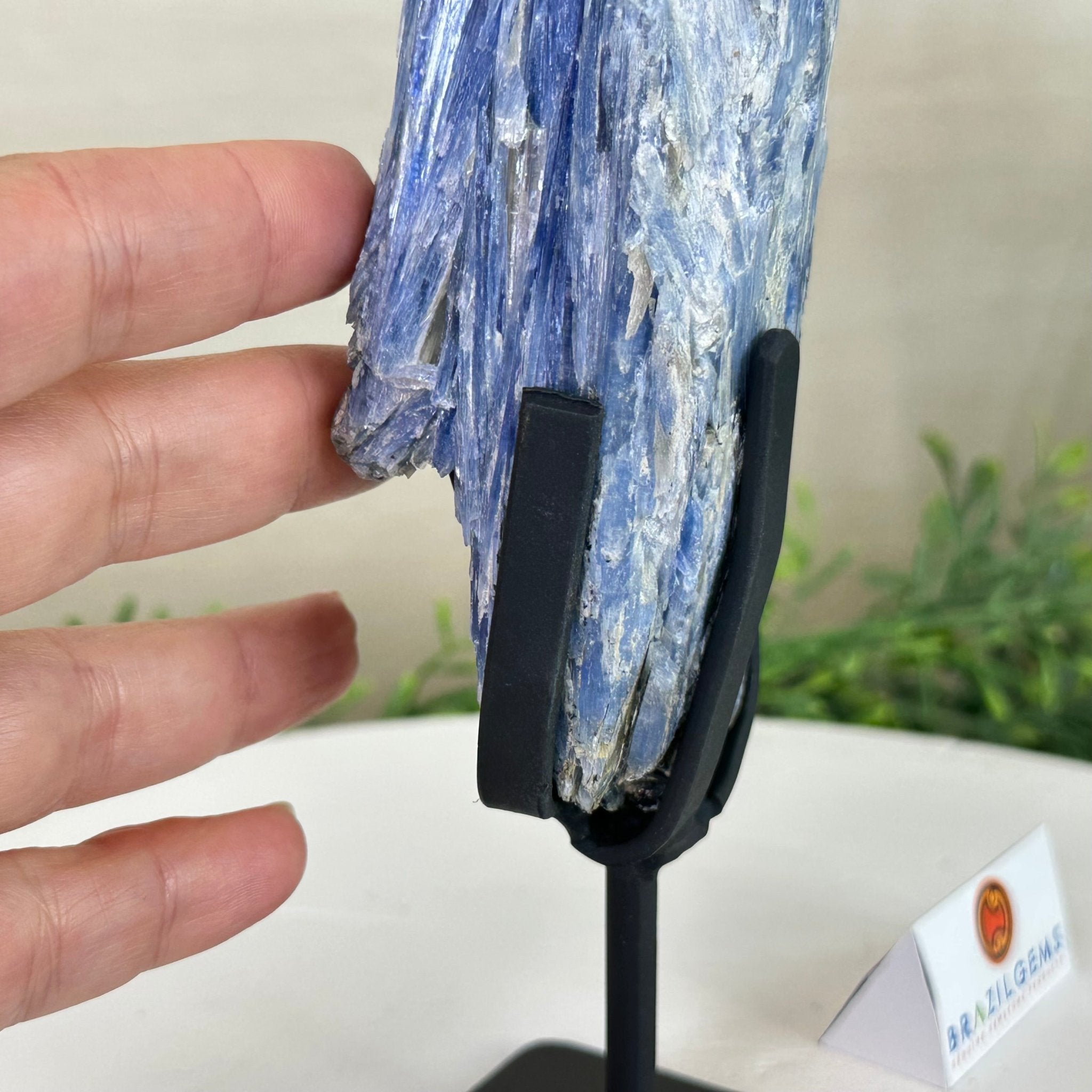 Kyanite Crystal on Metal Stand, 1.9 lbs & 9.8" Tall #6010 - 0006 - Brazil GemsBrazil GemsKyanite Crystal on Metal Stand, 1.9 lbs & 9.8" Tall #6010 - 0006Clusters on Fixed Bases6010 - 0006