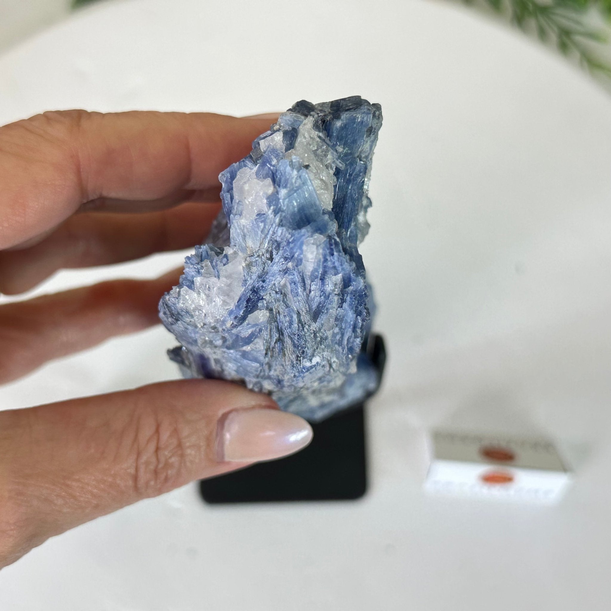 Kyanite Crystal on Metal Stand, 1.9 lbs & 9.8" Tall #6010 - 0006 - Brazil GemsBrazil GemsKyanite Crystal on Metal Stand, 1.9 lbs & 9.8" Tall #6010 - 0006Clusters on Fixed Bases6010 - 0006