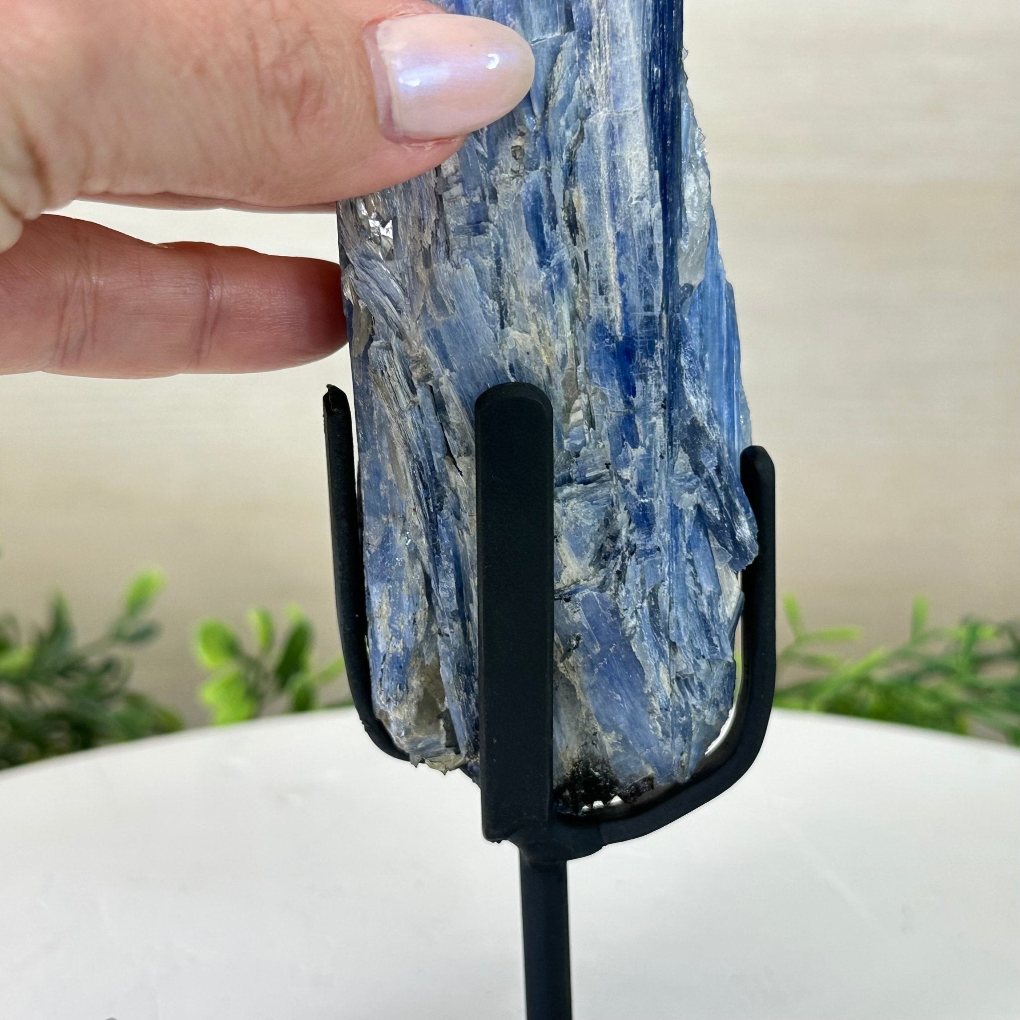 Kyanite Crystal on Metal Stand, 1.9 lbs & 9.8" Tall #6010 - 0006 - Brazil GemsBrazil GemsKyanite Crystal on Metal Stand, 1.9 lbs & 9.8" Tall #6010 - 0006Clusters on Fixed Bases6010 - 0006