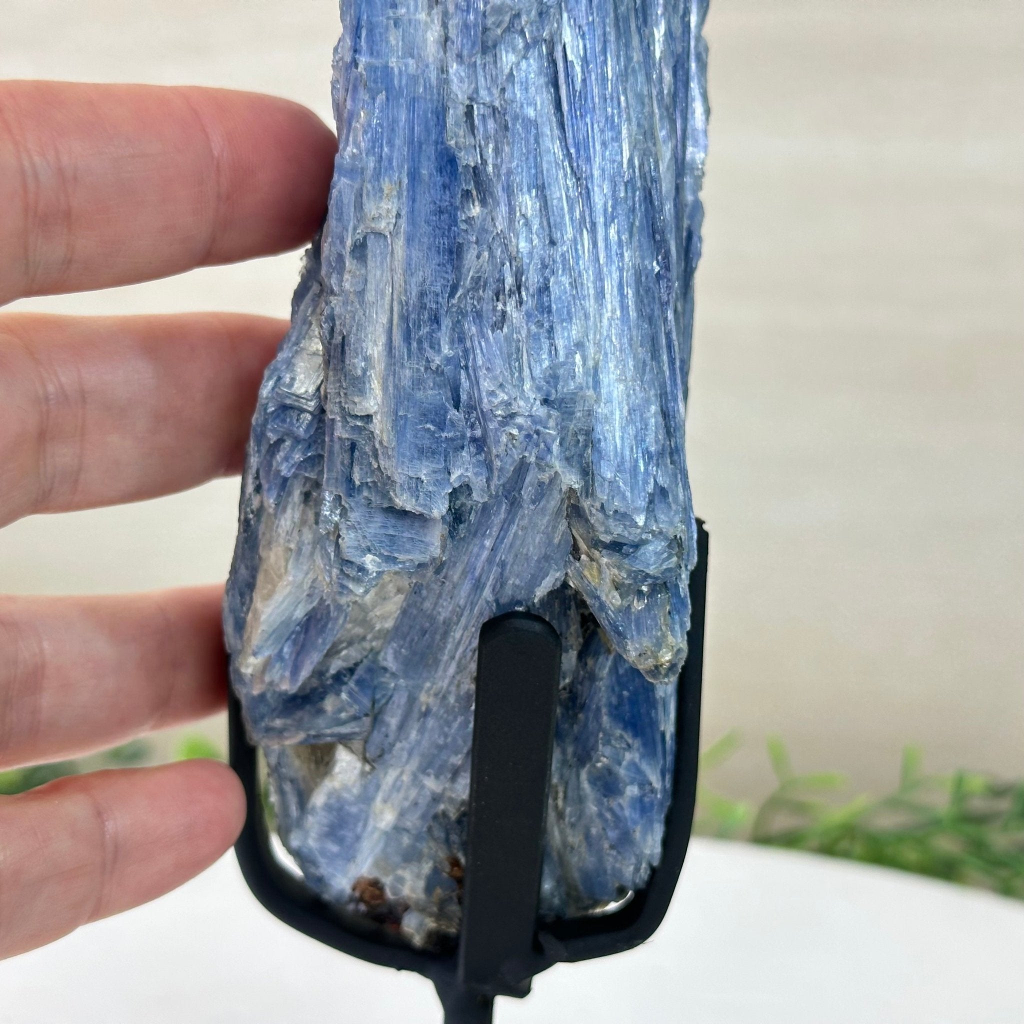 Kyanite Crystal on Metal Stand, 1.9 lbs & 9.8" Tall #6010 - 0006 - Brazil GemsBrazil GemsKyanite Crystal on Metal Stand, 1.9 lbs & 9.8" Tall #6010 - 0006Clusters on Fixed Bases6010 - 0006