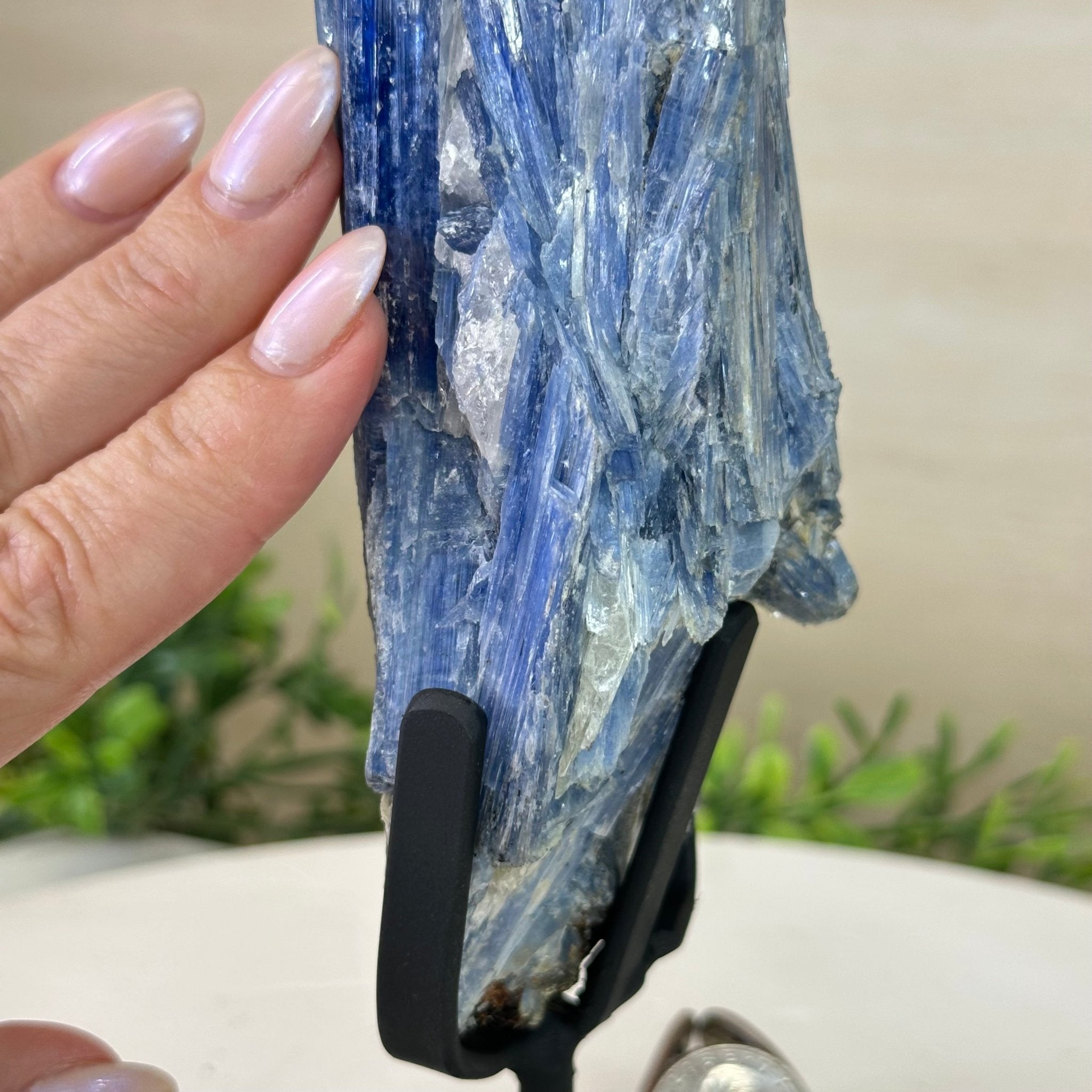 Kyanite Crystal on Metal Stand, 1.9 lbs & 9.8" Tall #6010 - 0006 - Brazil GemsBrazil GemsKyanite Crystal on Metal Stand, 1.9 lbs & 9.8" Tall #6010 - 0006Clusters on Fixed Bases6010 - 0006