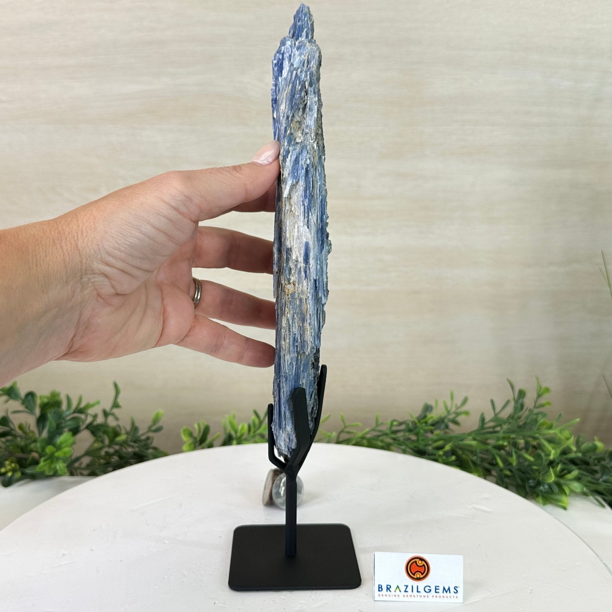 Kyanite Crystal on Metal Stand, 2.1 lbs & 12.1" Tall #6010 - 0009 - Brazil GemsBrazil GemsKyanite Crystal on Metal Stand, 2.1 lbs & 12.1" Tall #6010 - 0009Clusters on Fixed Bases6010 - 0009