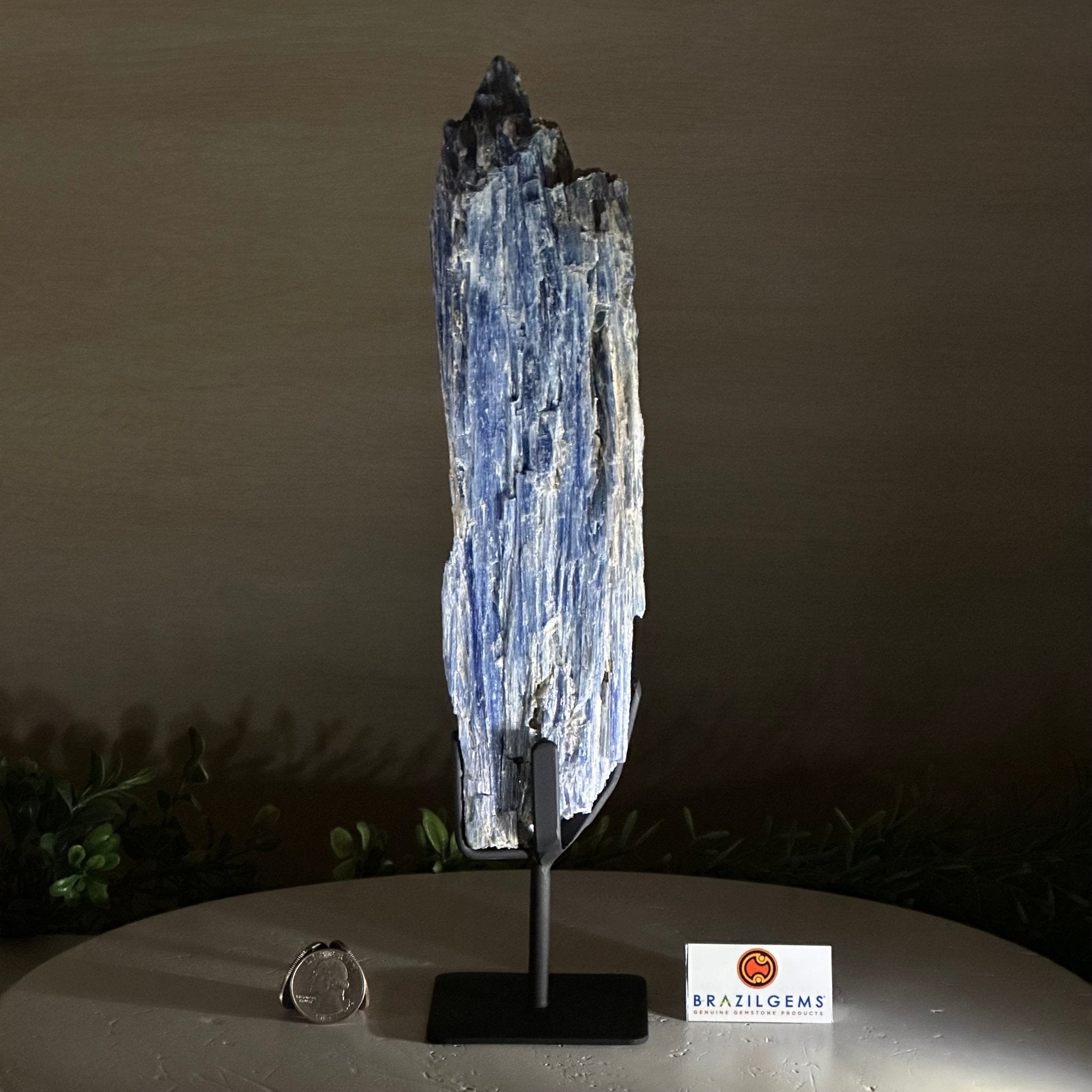 Kyanite Crystal on Metal Stand, 2.1 lbs & 12.1" Tall #6010 - 0009 - Brazil GemsBrazil GemsKyanite Crystal on Metal Stand, 2.1 lbs & 12.1" Tall #6010 - 0009Clusters on Fixed Bases6010 - 0009