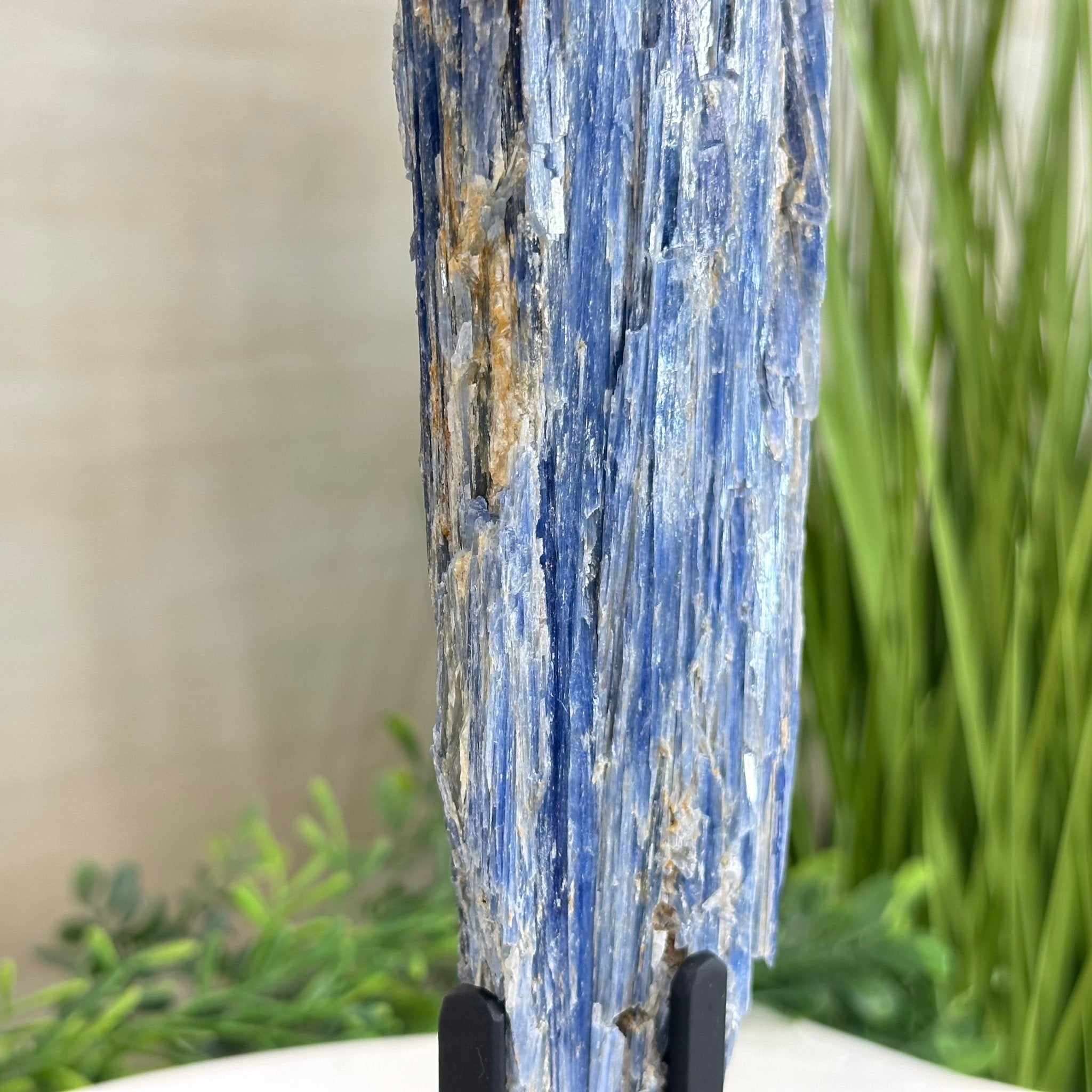 Kyanite Crystal on Metal Stand, 2.1 lbs & 12.1" Tall #6010 - 0009 - Brazil GemsBrazil GemsKyanite Crystal on Metal Stand, 2.1 lbs & 12.1" Tall #6010 - 0009Clusters on Fixed Bases6010 - 0009