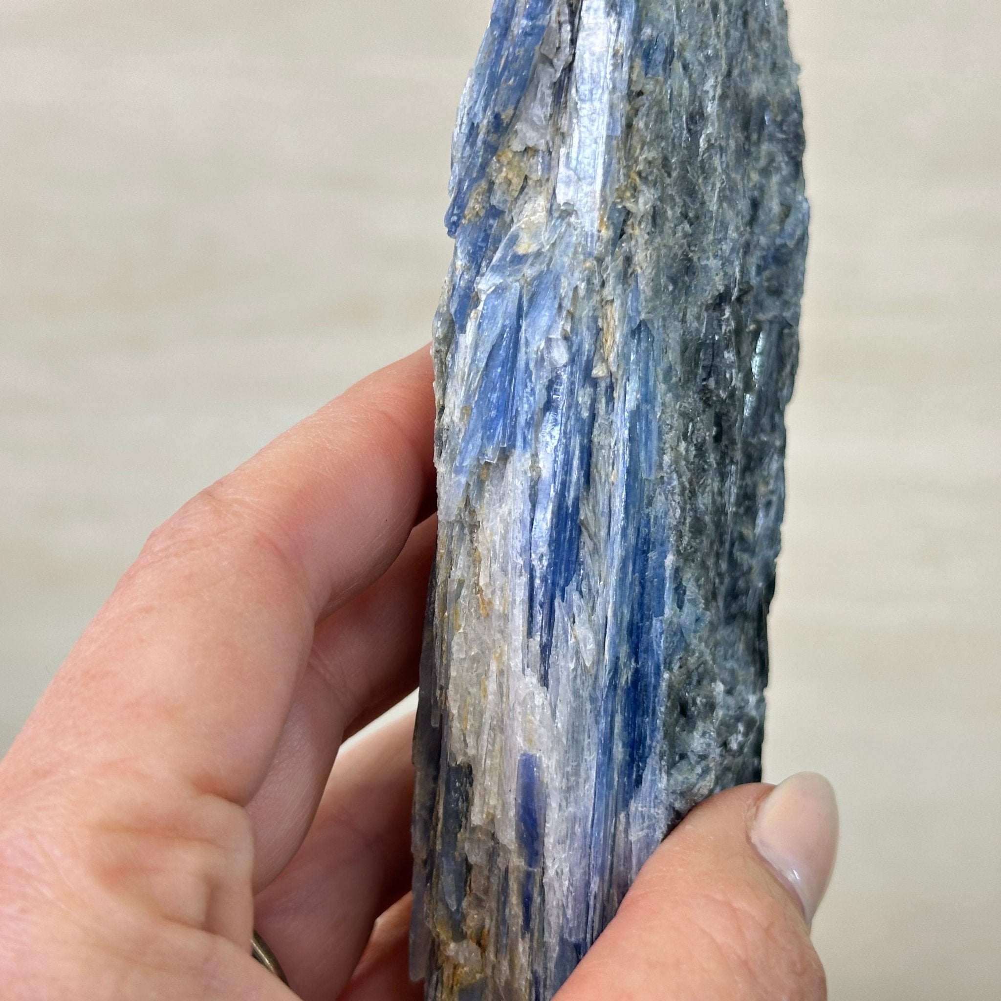 Kyanite Crystal on Metal Stand, 2.1 lbs & 12.1" Tall #6010 - 0009 - Brazil GemsBrazil GemsKyanite Crystal on Metal Stand, 2.1 lbs & 12.1" Tall #6010 - 0009Clusters on Fixed Bases6010 - 0009