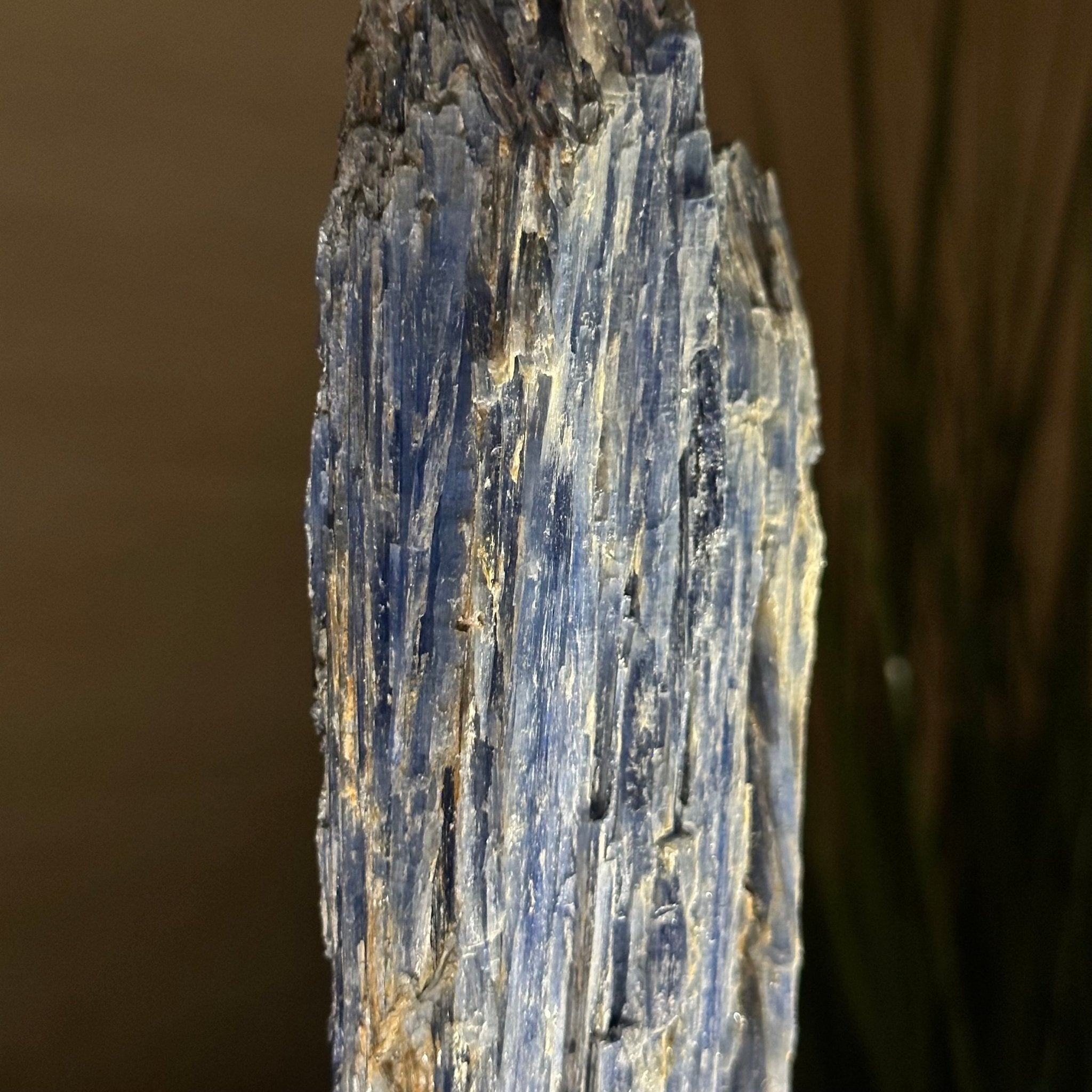 Kyanite Crystal on Metal Stand, 2.1 lbs & 12.1" Tall #6010 - 0009 - Brazil GemsBrazil GemsKyanite Crystal on Metal Stand, 2.1 lbs & 12.1" Tall #6010 - 0009Clusters on Fixed Bases6010 - 0009