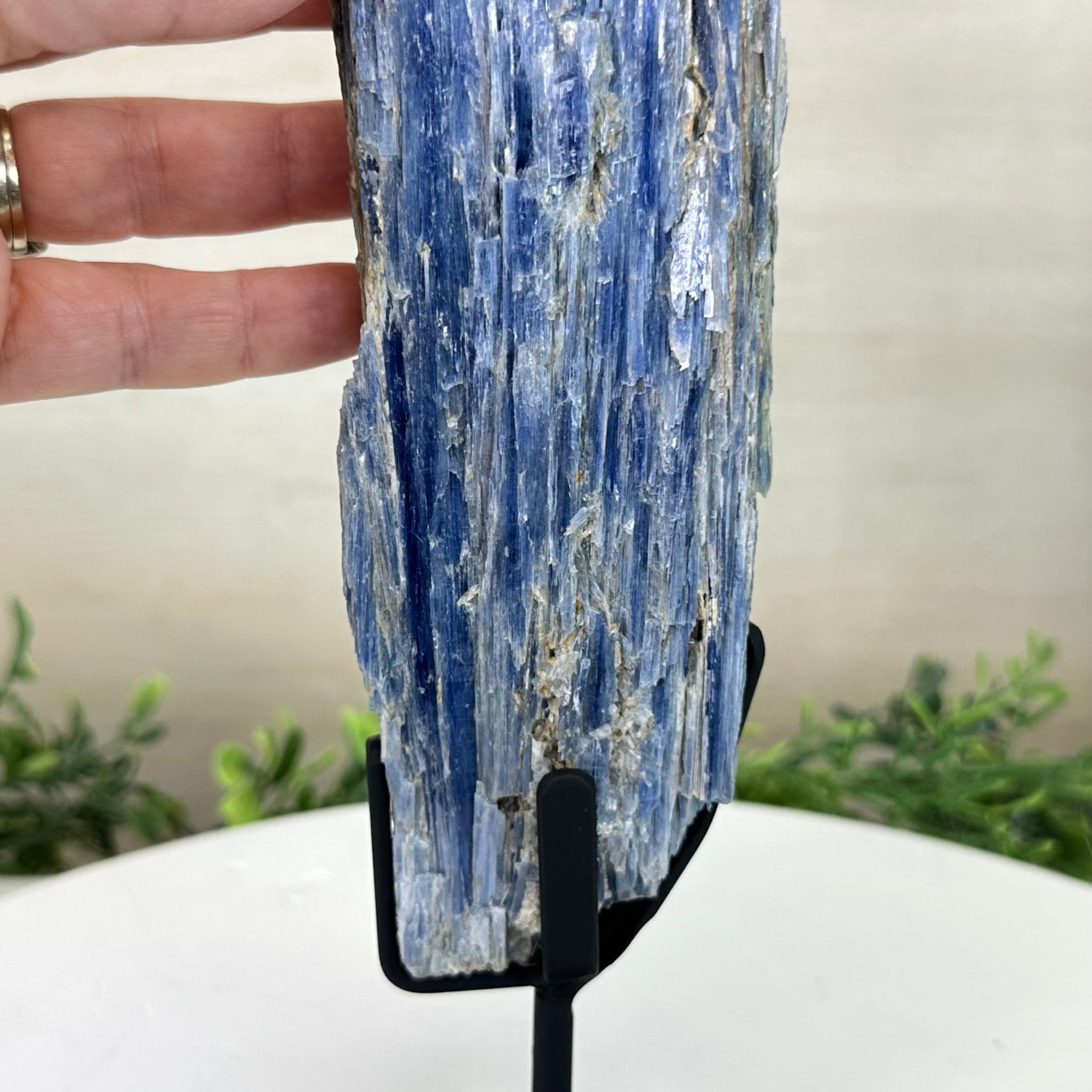 Kyanite Crystal on Metal Stand, 2.1 lbs & 12.1" Tall #6010 - 0009 - Brazil GemsBrazil GemsKyanite Crystal on Metal Stand, 2.1 lbs & 12.1" Tall #6010 - 0009Clusters on Fixed Bases6010 - 0009