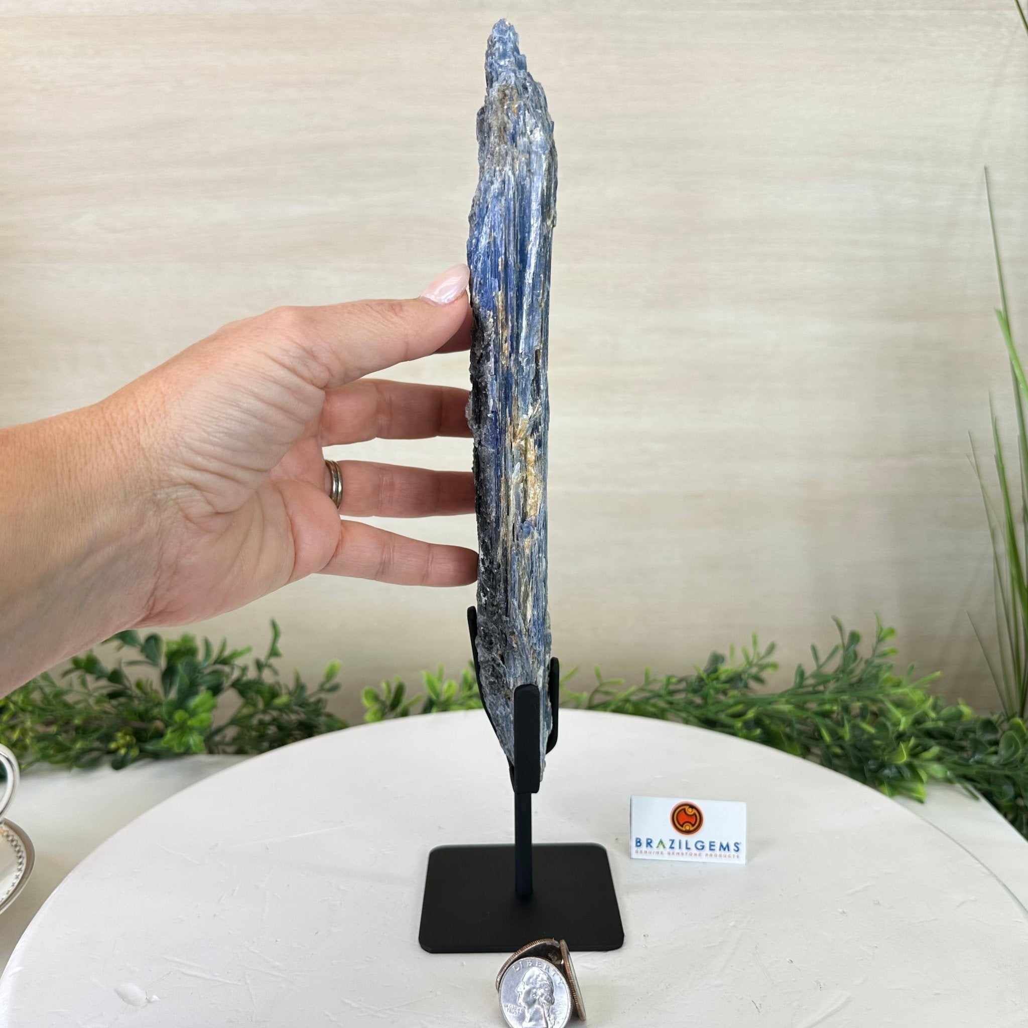 Kyanite Crystal on Metal Stand, 2.1 lbs & 12.1" Tall #6010 - 0009 - Brazil GemsBrazil GemsKyanite Crystal on Metal Stand, 2.1 lbs & 12.1" Tall #6010 - 0009Clusters on Fixed Bases6010 - 0009