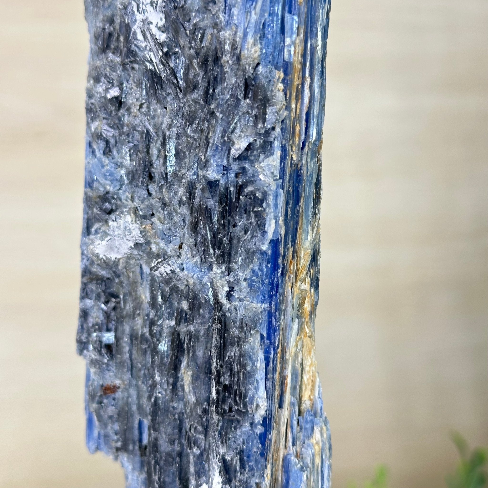 Kyanite Crystal on Metal Stand, 2.1 lbs & 12.1" Tall #6010 - 0009 - Brazil GemsBrazil GemsKyanite Crystal on Metal Stand, 2.1 lbs & 12.1" Tall #6010 - 0009Clusters on Fixed Bases6010 - 0009