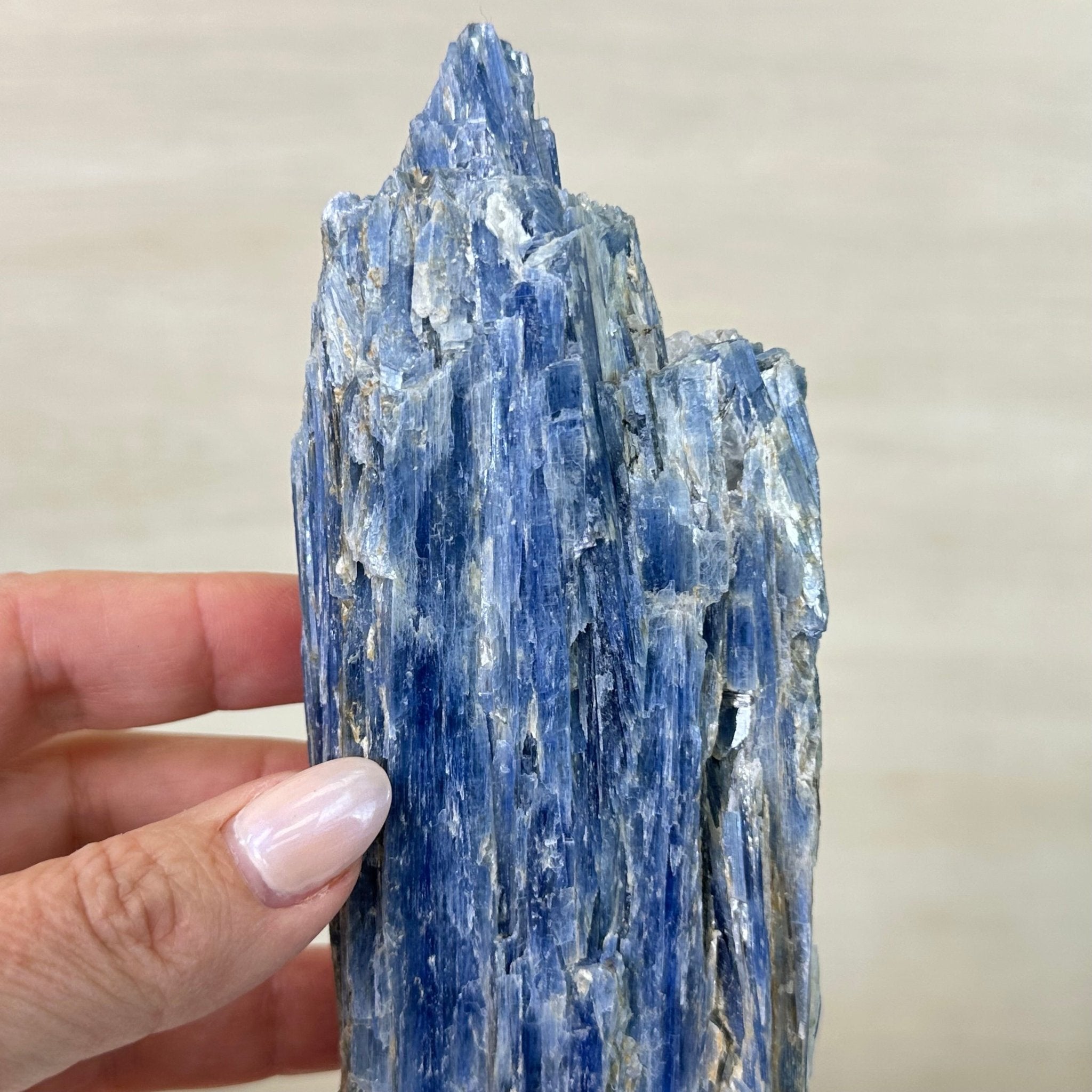 Kyanite Crystal on Metal Stand, 2.1 lbs & 12.1" Tall #6010 - 0009 - Brazil GemsBrazil GemsKyanite Crystal on Metal Stand, 2.1 lbs & 12.1" Tall #6010 - 0009Clusters on Fixed Bases6010 - 0009