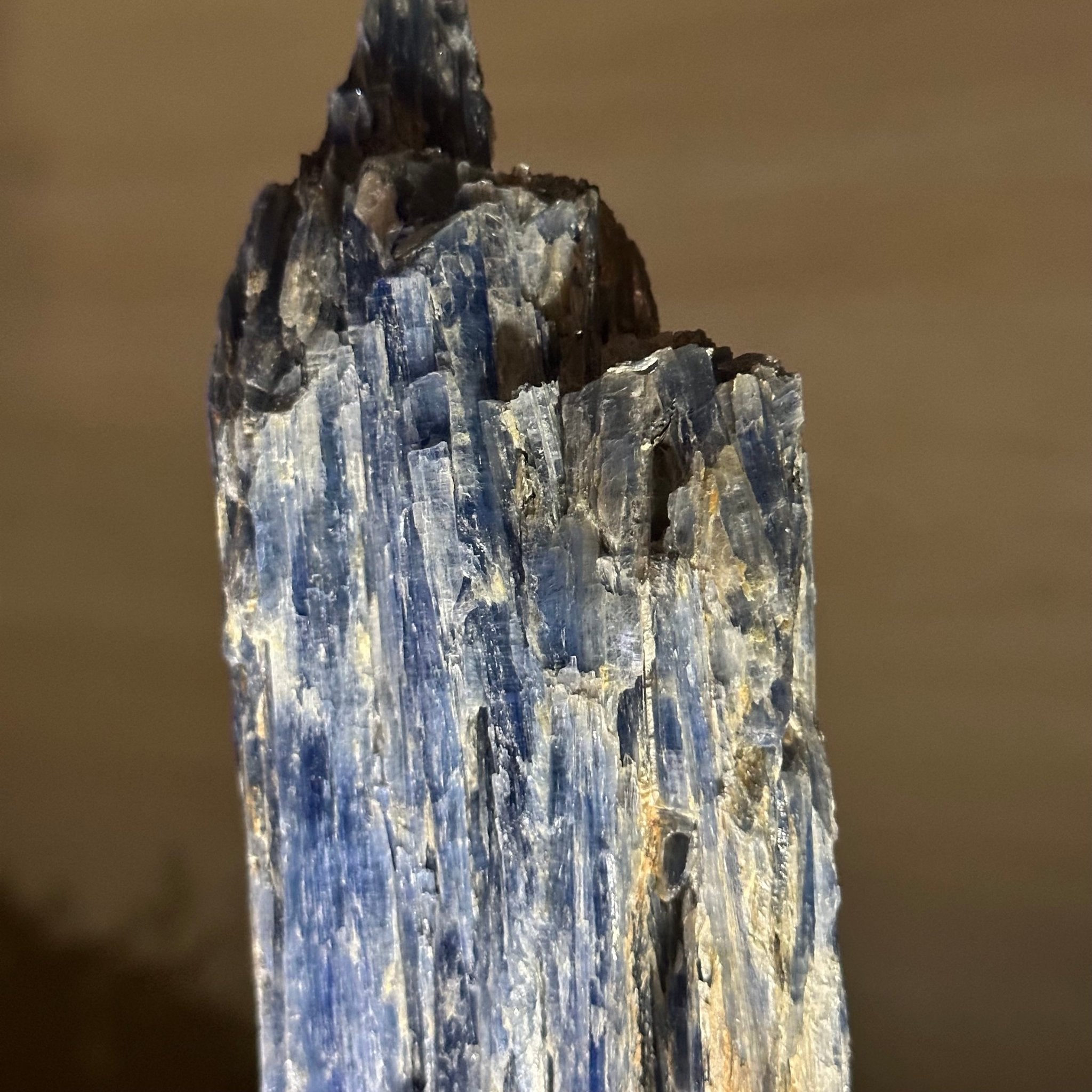 Kyanite Crystal on Metal Stand, 2.1 lbs & 12.1" Tall #6010 - 0009 - Brazil GemsBrazil GemsKyanite Crystal on Metal Stand, 2.1 lbs & 12.1" Tall #6010 - 0009Clusters on Fixed Bases6010 - 0009