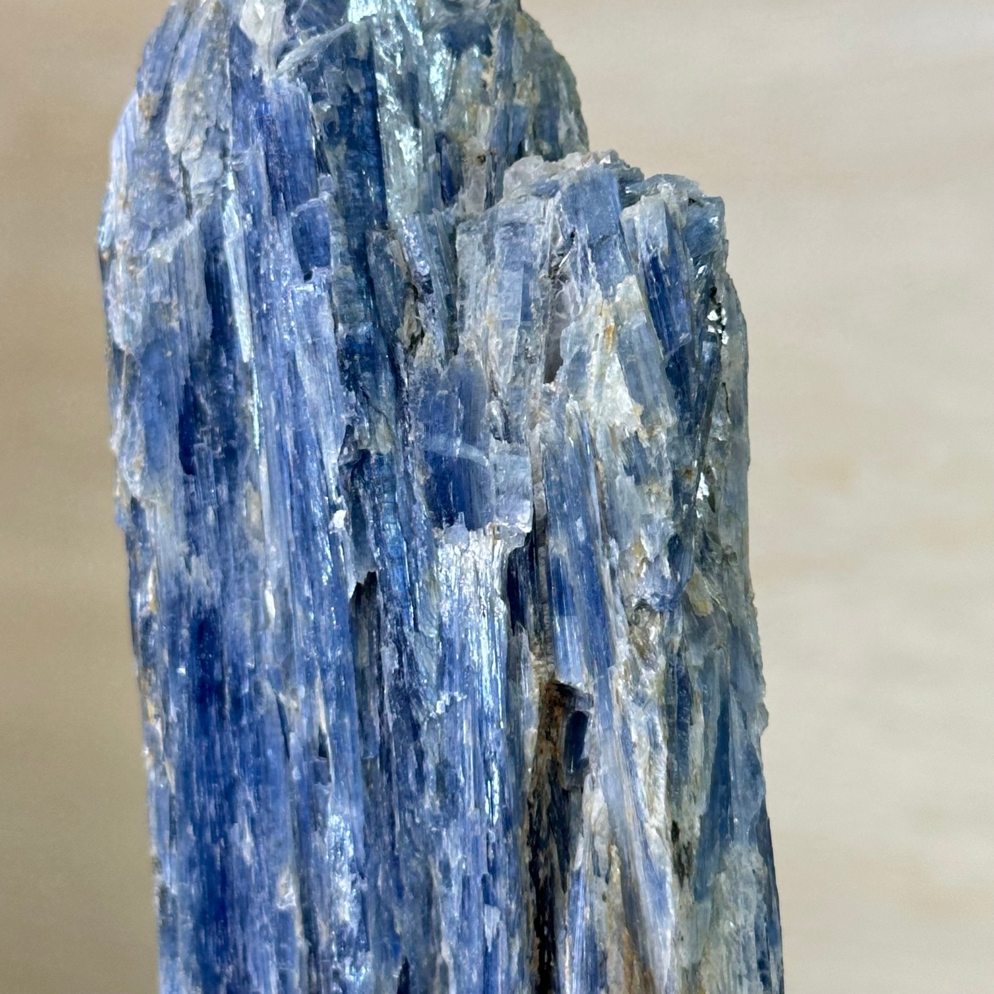 Kyanite Crystal on Metal Stand, 2.1 lbs & 12.1" Tall #6010 - 0009 - Brazil GemsBrazil GemsKyanite Crystal on Metal Stand, 2.1 lbs & 12.1" Tall #6010 - 0009Clusters on Fixed Bases6010 - 0009