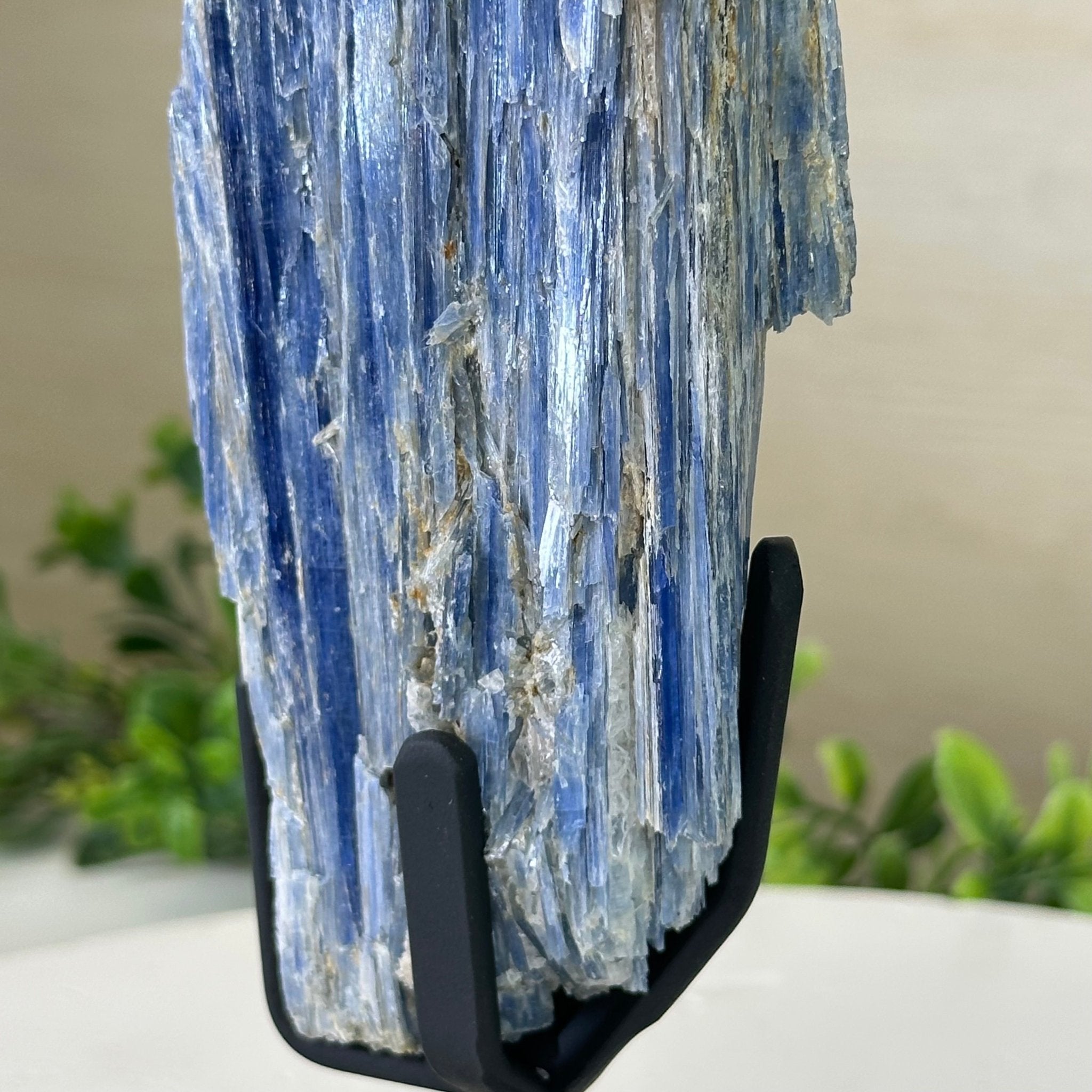 Kyanite Crystal on Metal Stand, 2.1 lbs & 12.1" Tall #6010 - 0009 - Brazil GemsBrazil GemsKyanite Crystal on Metal Stand, 2.1 lbs & 12.1" Tall #6010 - 0009Clusters on Fixed Bases6010 - 0009