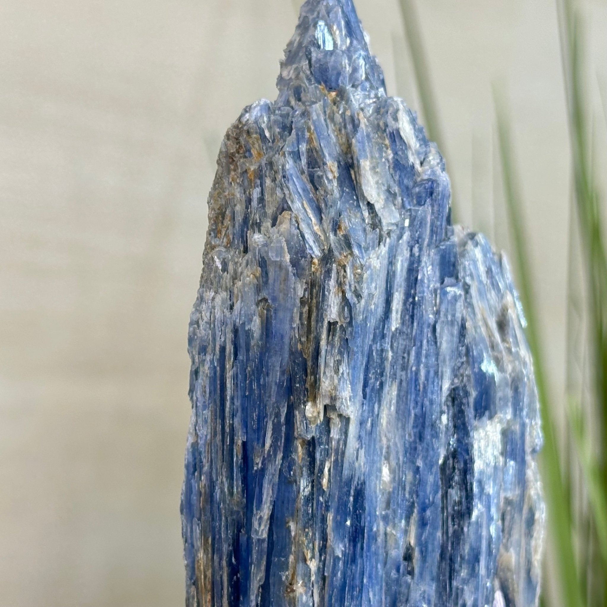 Kyanite Crystal on Metal Stand, 2.1 lbs & 12.1" Tall #6010 - 0009 - Brazil GemsBrazil GemsKyanite Crystal on Metal Stand, 2.1 lbs & 12.1" Tall #6010 - 0009Clusters on Fixed Bases6010 - 0009