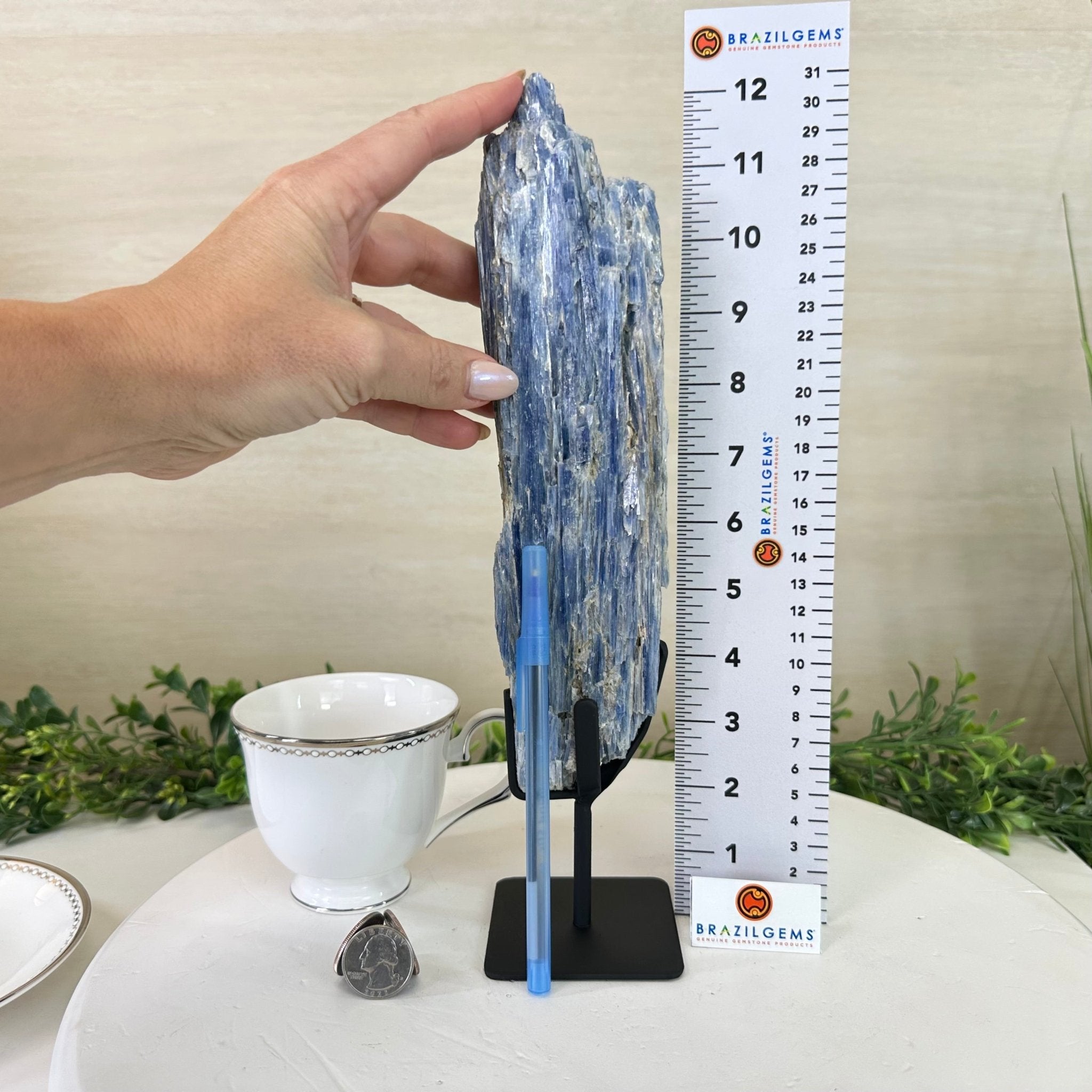 Kyanite Crystal on Metal Stand, 2.1 lbs & 12.1" Tall #6010 - 0009 - Brazil GemsBrazil GemsKyanite Crystal on Metal Stand, 2.1 lbs & 12.1" Tall #6010 - 0009Clusters on Fixed Bases6010 - 0009