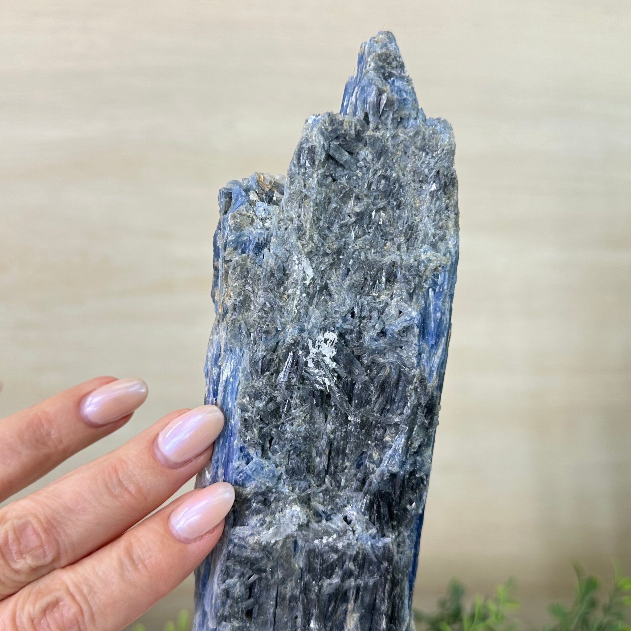 Kyanite Crystal on Metal Stand, 2.1 lbs & 12.1" Tall #6010 - 0009 - Brazil GemsBrazil GemsKyanite Crystal on Metal Stand, 2.1 lbs & 12.1" Tall #6010 - 0009Clusters on Fixed Bases6010 - 0009