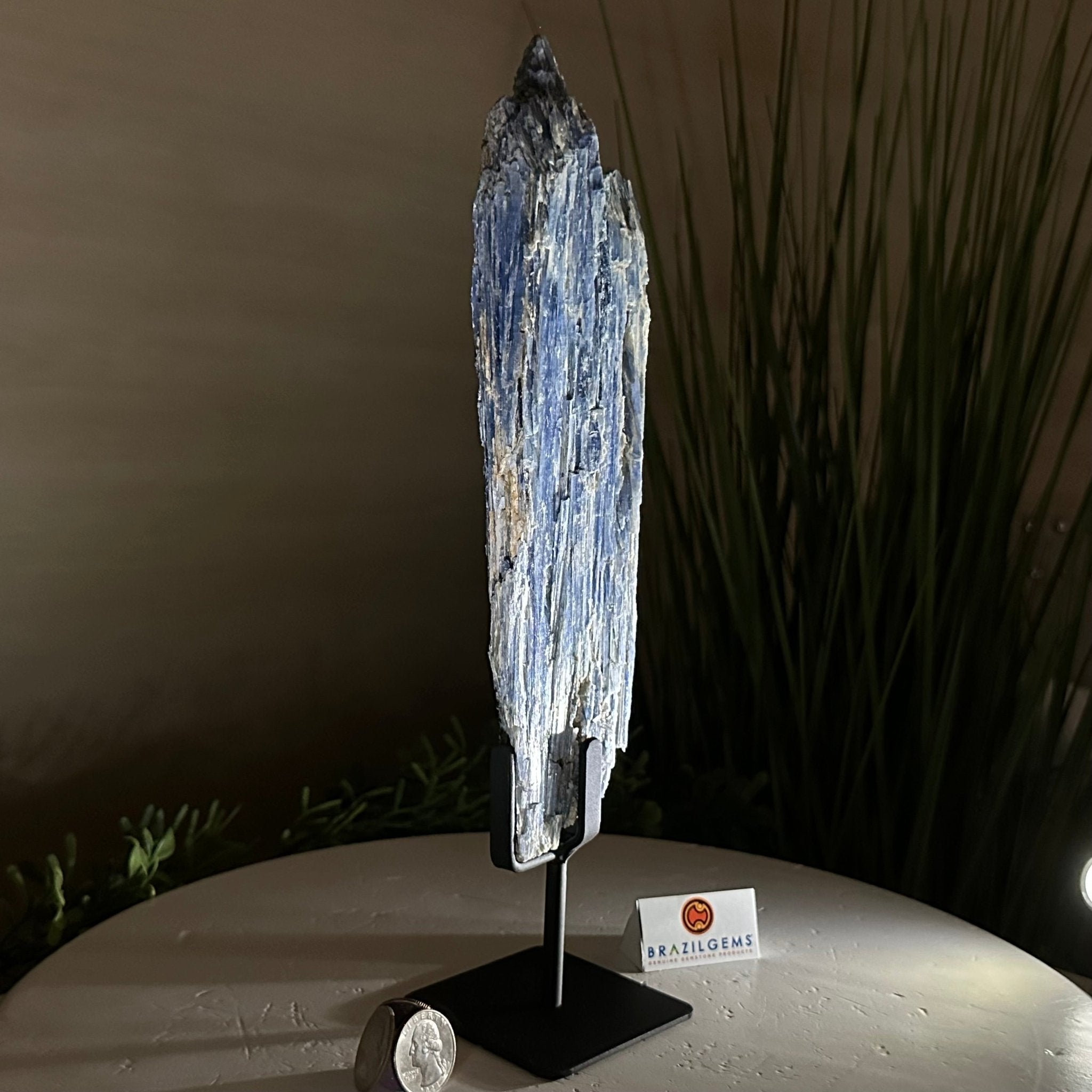 Kyanite Crystal on Metal Stand, 2.1 lbs & 12.1" Tall #6010 - 0009 - Brazil GemsBrazil GemsKyanite Crystal on Metal Stand, 2.1 lbs & 12.1" Tall #6010 - 0009Clusters on Fixed Bases6010 - 0009