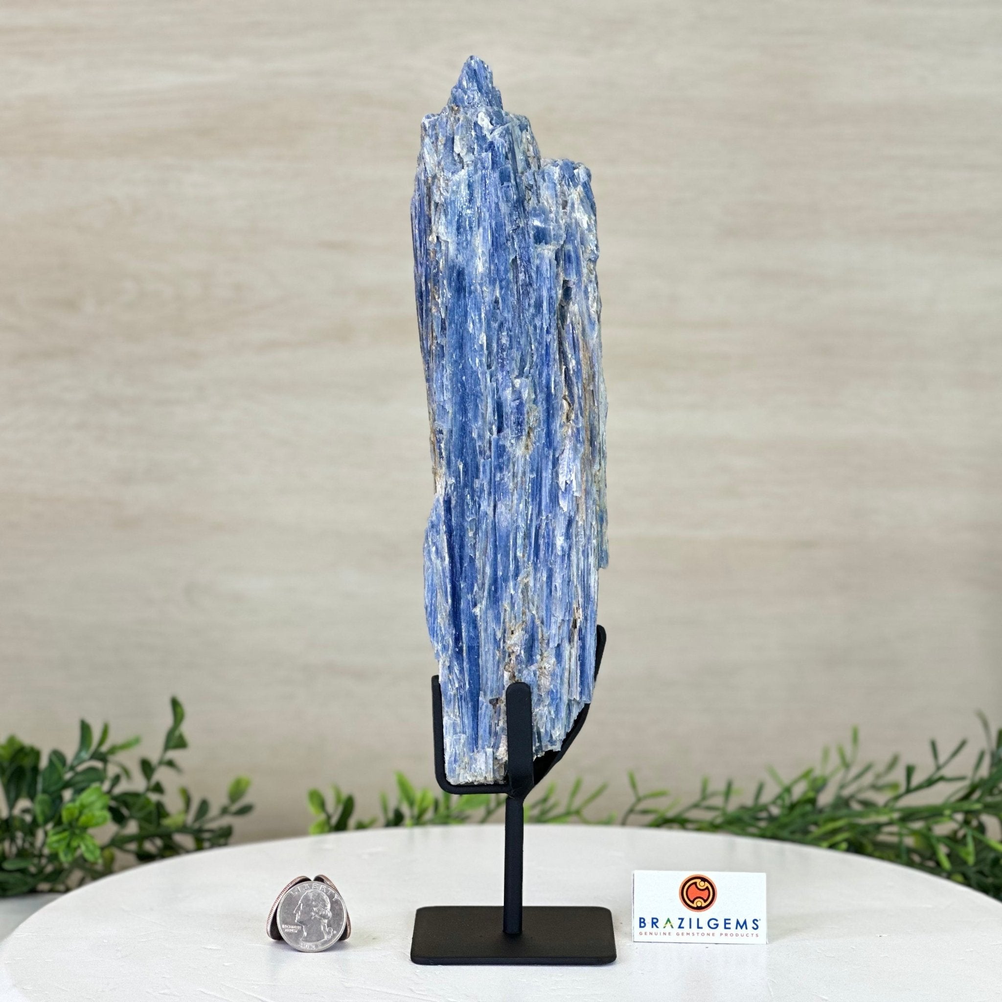 Kyanite Crystal on Metal Stand, 2.1 lbs & 12.1" Tall #6010 - 0009 - Brazil GemsBrazil GemsKyanite Crystal on Metal Stand, 2.1 lbs & 12.1" Tall #6010 - 0009Clusters on Fixed Bases6010 - 0009