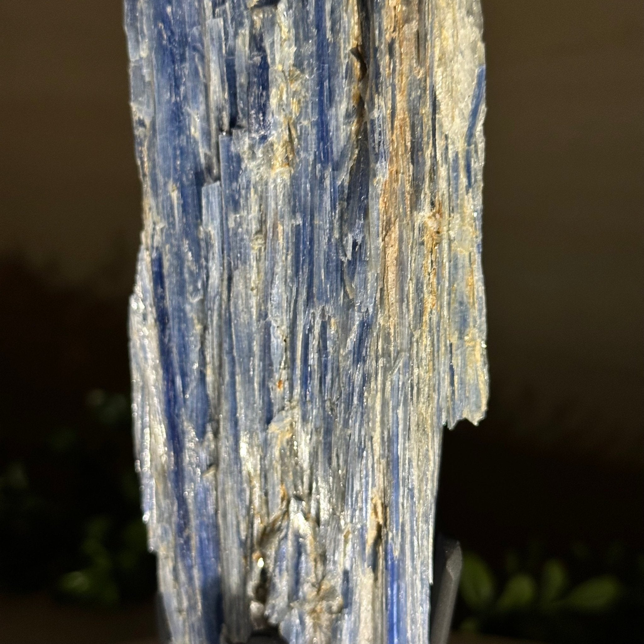 Kyanite Crystal on Metal Stand, 2.1 lbs & 12.1" Tall #6010 - 0009 - Brazil GemsBrazil GemsKyanite Crystal on Metal Stand, 2.1 lbs & 12.1" Tall #6010 - 0009Clusters on Fixed Bases6010 - 0009