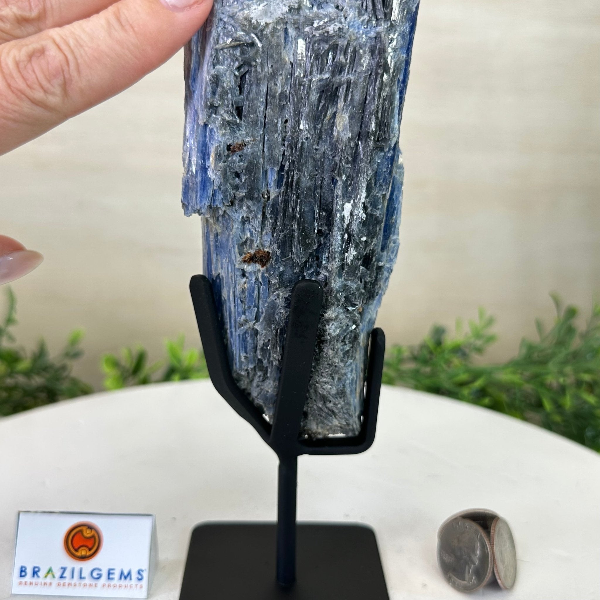 Kyanite Crystal on Metal Stand, 2.1 lbs & 12.1" Tall #6010 - 0009 - Brazil GemsBrazil GemsKyanite Crystal on Metal Stand, 2.1 lbs & 12.1" Tall #6010 - 0009Clusters on Fixed Bases6010 - 0009