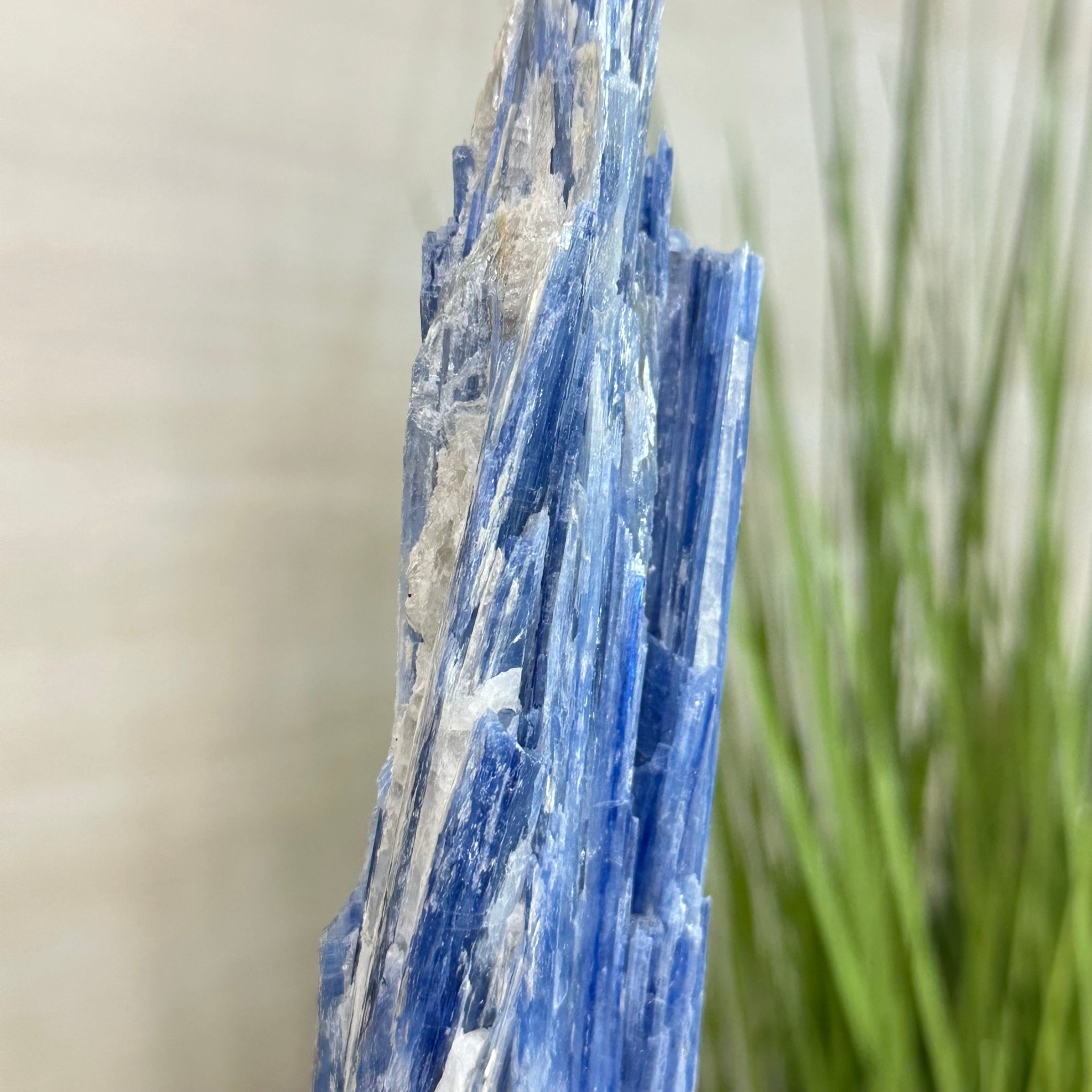 Kyanite Crystal on Metal Stand, 2.1 lbs & 12.5" Tall #6010 - 0008 - Brazil GemsBrazil GemsKyanite Crystal on Metal Stand, 2.1 lbs & 12.5" Tall #6010 - 0008Clusters on Fixed Bases6010 - 0008