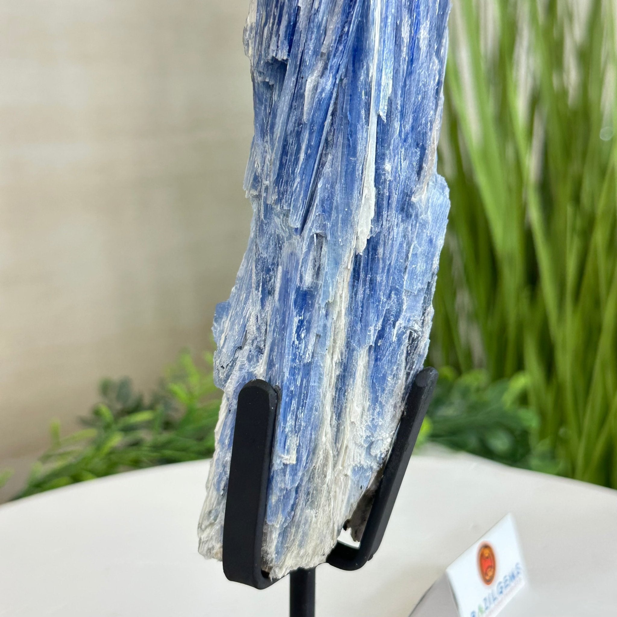 Kyanite Crystal on Metal Stand, 2.1 lbs & 12.5" Tall #6010 - 0008 - Brazil GemsBrazil GemsKyanite Crystal on Metal Stand, 2.1 lbs & 12.5" Tall #6010 - 0008Clusters on Fixed Bases6010 - 0008