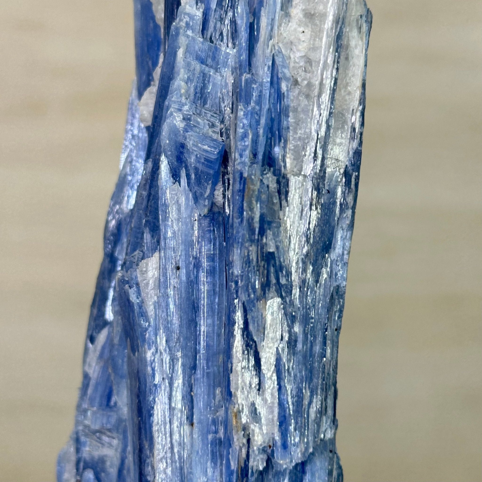 Kyanite Crystal on Metal Stand, 2.1 lbs & 12.5" Tall #6010 - 0008 - Brazil GemsBrazil GemsKyanite Crystal on Metal Stand, 2.1 lbs & 12.5" Tall #6010 - 0008Clusters on Fixed Bases6010 - 0008