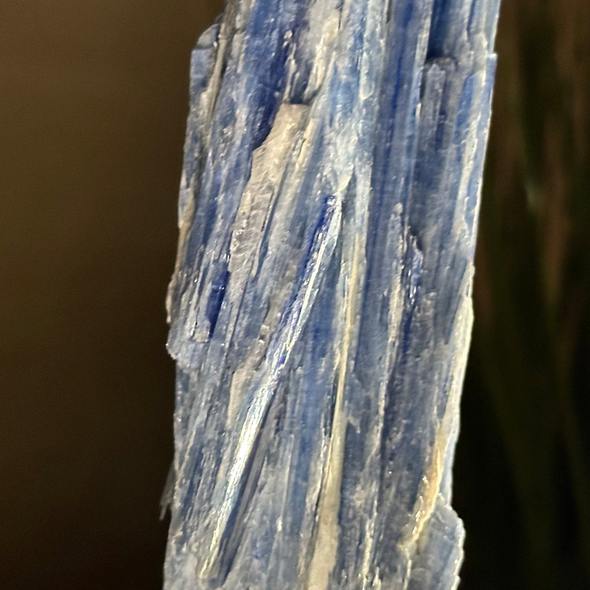 Kyanite Crystal on Metal Stand, 2.1 lbs & 12.5" Tall #6010 - 0008 - Brazil GemsBrazil GemsKyanite Crystal on Metal Stand, 2.1 lbs & 12.5" Tall #6010 - 0008Clusters on Fixed Bases6010 - 0008