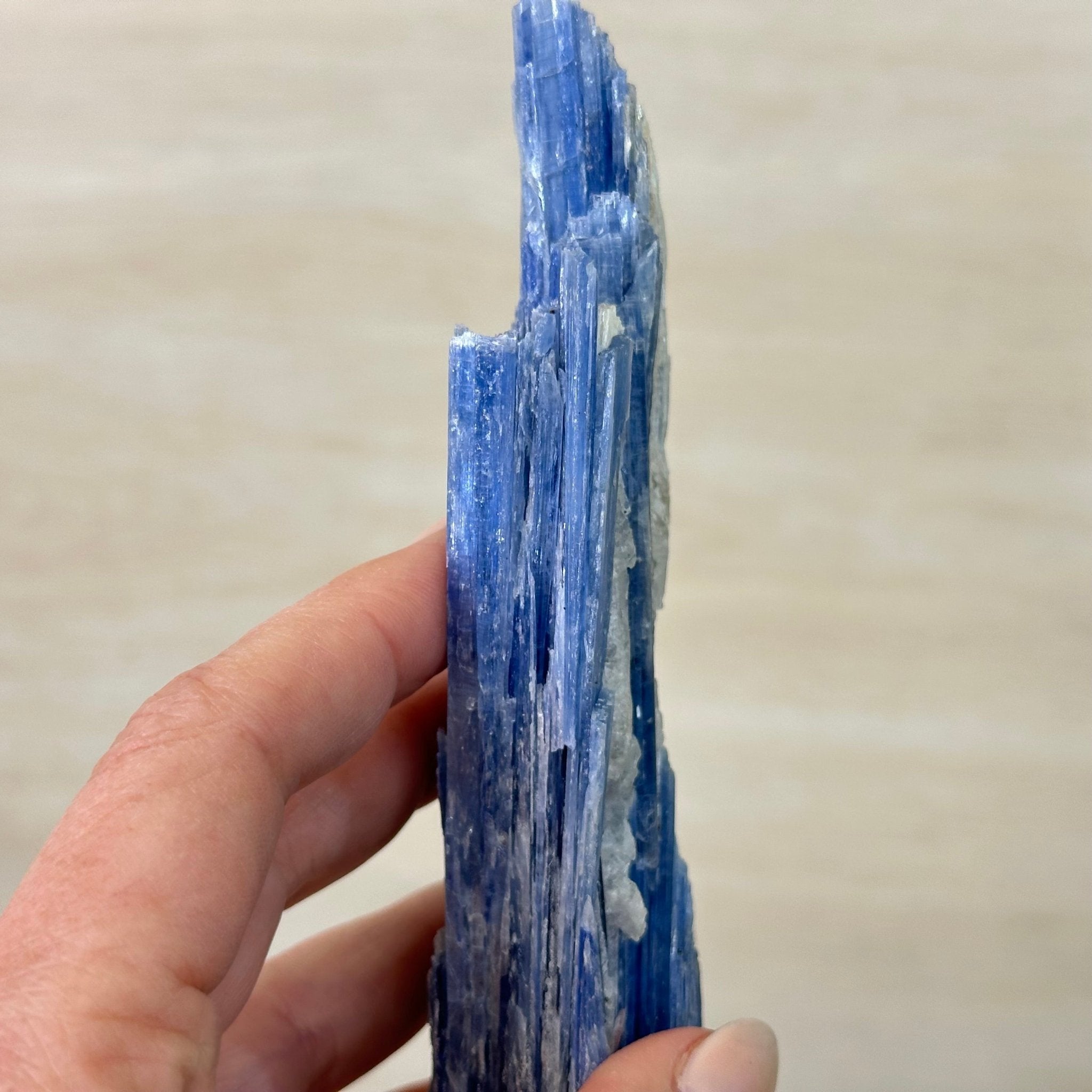 Kyanite Crystal on Metal Stand, 2.1 lbs & 12.5" Tall #6010 - 0008 - Brazil GemsBrazil GemsKyanite Crystal on Metal Stand, 2.1 lbs & 12.5" Tall #6010 - 0008Clusters on Fixed Bases6010 - 0008