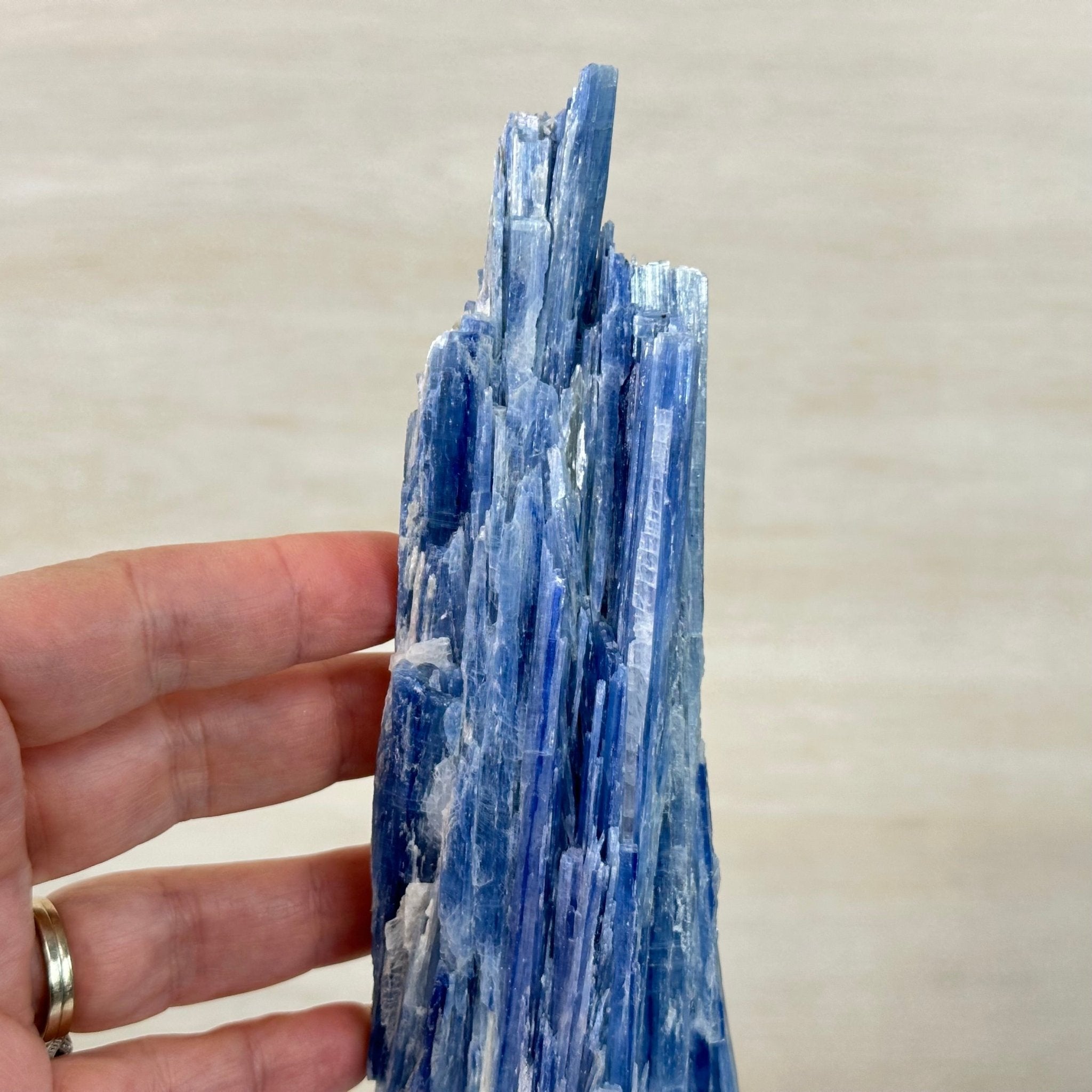 Kyanite Crystal on Metal Stand, 2.1 lbs & 12.5" Tall #6010 - 0008 - Brazil GemsBrazil GemsKyanite Crystal on Metal Stand, 2.1 lbs & 12.5" Tall #6010 - 0008Clusters on Fixed Bases6010 - 0008