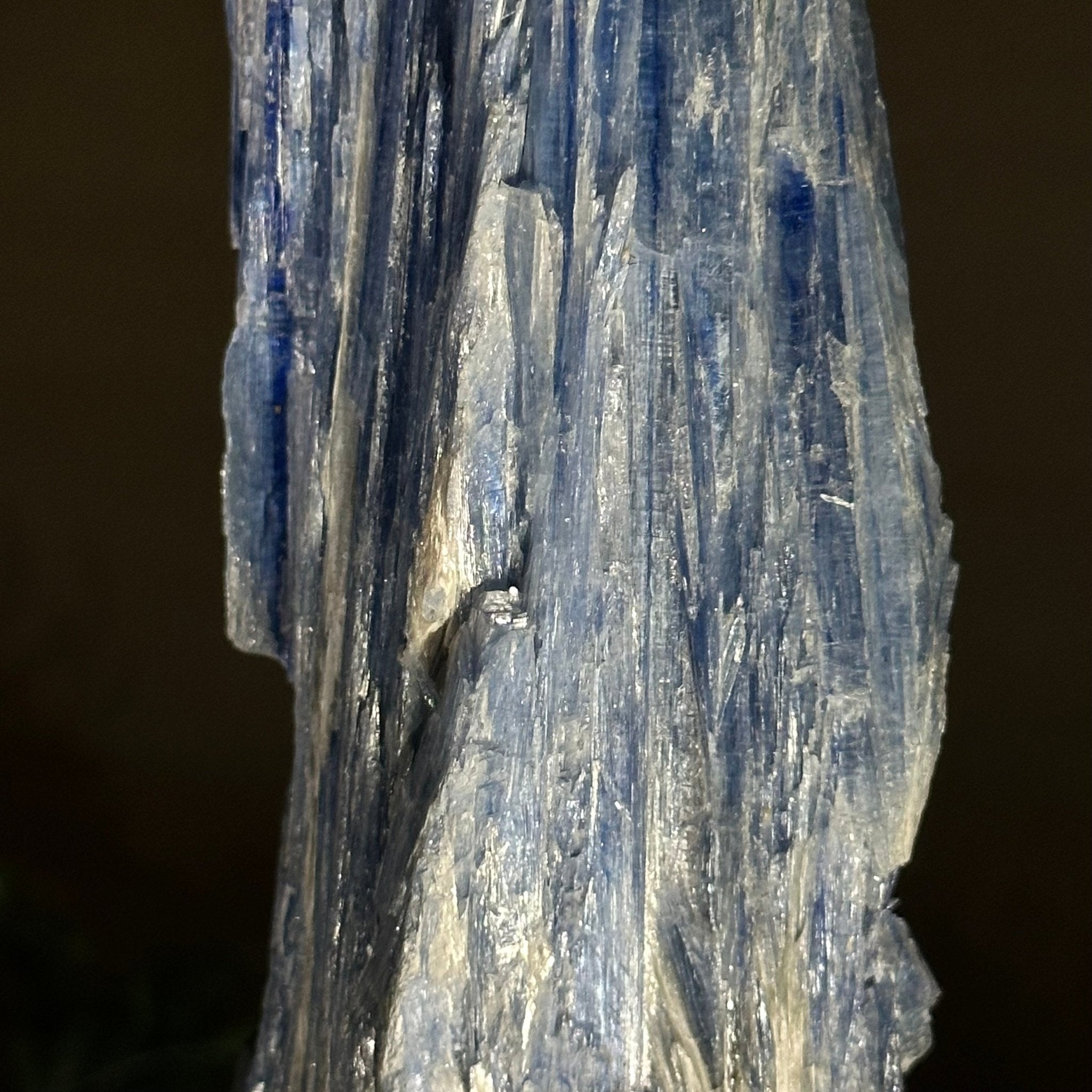 Kyanite Crystal on Metal Stand, 2.1 lbs & 12.5" Tall #6010 - 0008 - Brazil GemsBrazil GemsKyanite Crystal on Metal Stand, 2.1 lbs & 12.5" Tall #6010 - 0008Clusters on Fixed Bases6010 - 0008