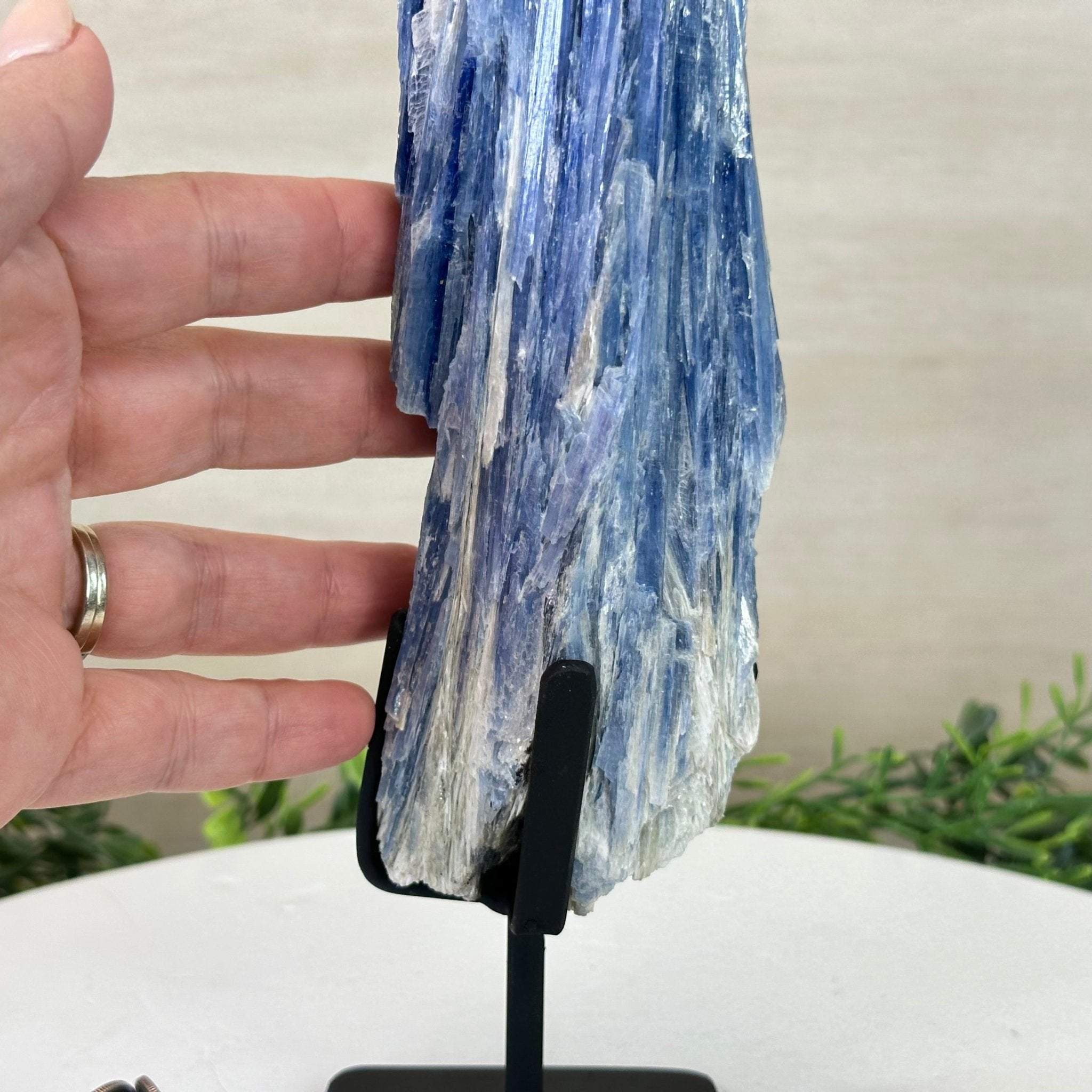 Kyanite Crystal on Metal Stand, 2.1 lbs & 12.5" Tall #6010 - 0008 - Brazil GemsBrazil GemsKyanite Crystal on Metal Stand, 2.1 lbs & 12.5" Tall #6010 - 0008Clusters on Fixed Bases6010 - 0008