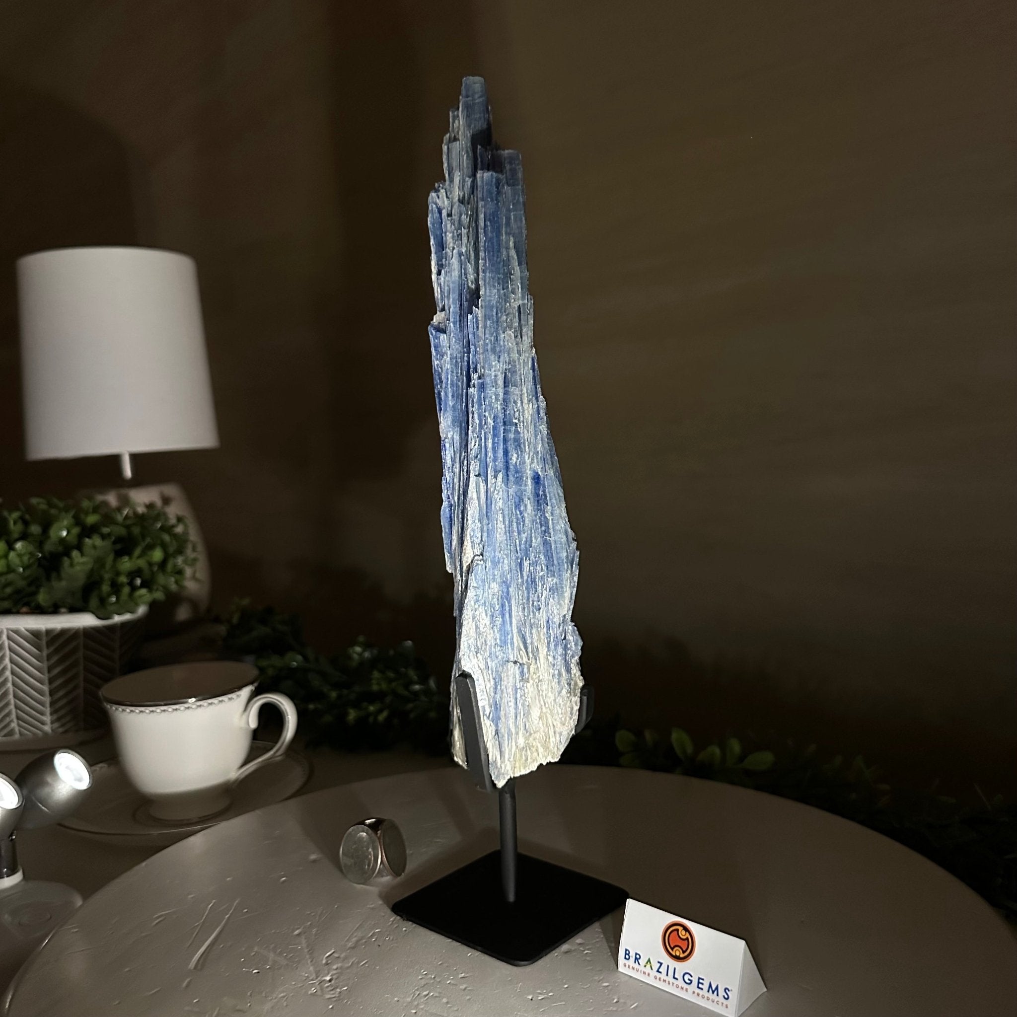 Kyanite Crystal on Metal Stand, 2.1 lbs & 12.5" Tall #6010 - 0008 - Brazil GemsBrazil GemsKyanite Crystal on Metal Stand, 2.1 lbs & 12.5" Tall #6010 - 0008Clusters on Fixed Bases6010 - 0008