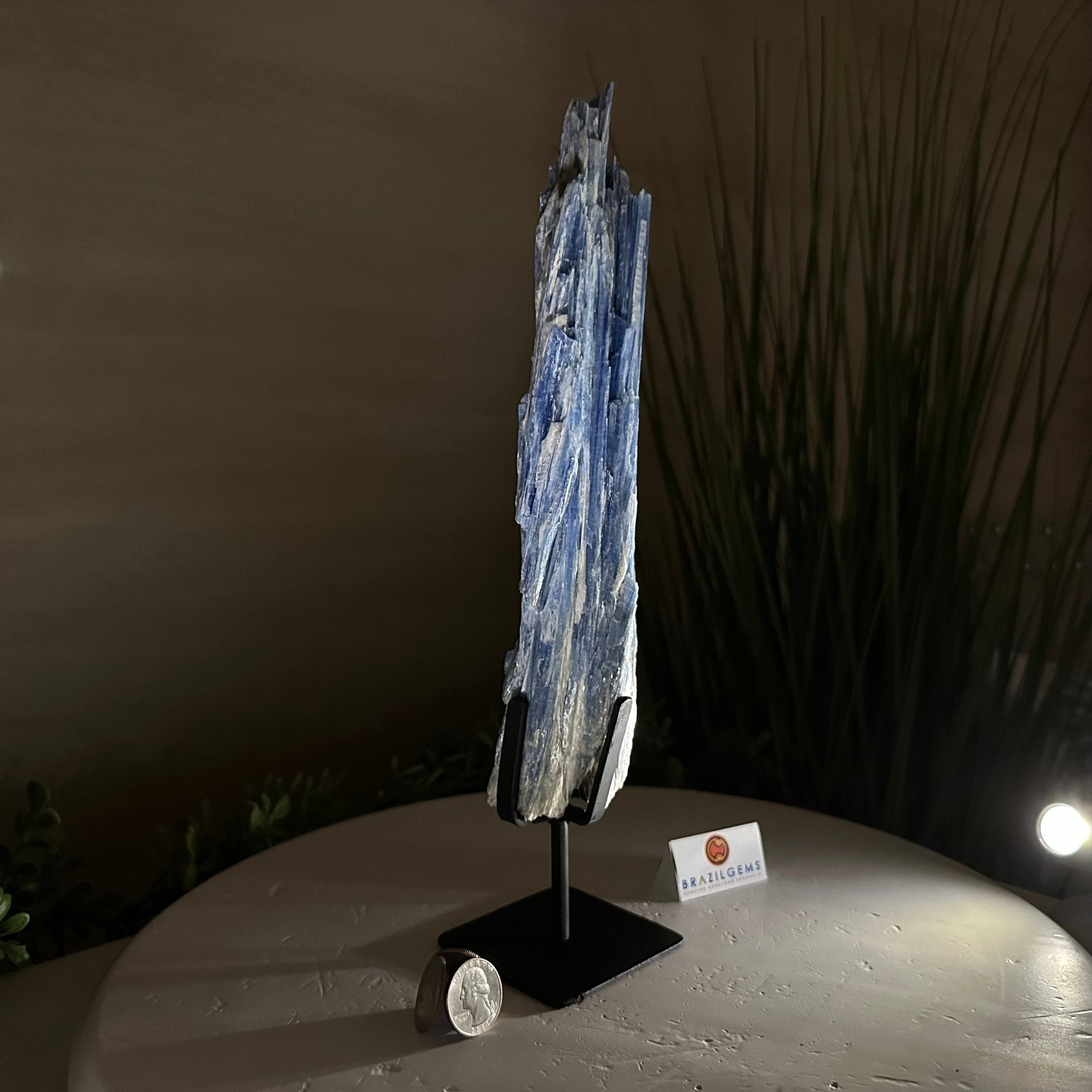 Kyanite Crystal on Metal Stand, 2.1 lbs & 12.5" Tall #6010 - 0008 - Brazil GemsBrazil GemsKyanite Crystal on Metal Stand, 2.1 lbs & 12.5" Tall #6010 - 0008Clusters on Fixed Bases6010 - 0008