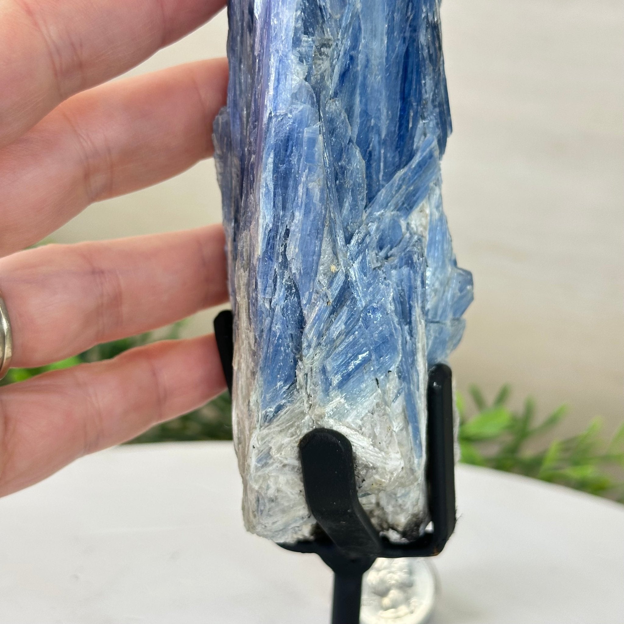 Kyanite Crystal on Metal Stand, 2.1 lbs & 12.5" Tall #6010 - 0008 - Brazil GemsBrazil GemsKyanite Crystal on Metal Stand, 2.1 lbs & 12.5" Tall #6010 - 0008Clusters on Fixed Bases6010 - 0008