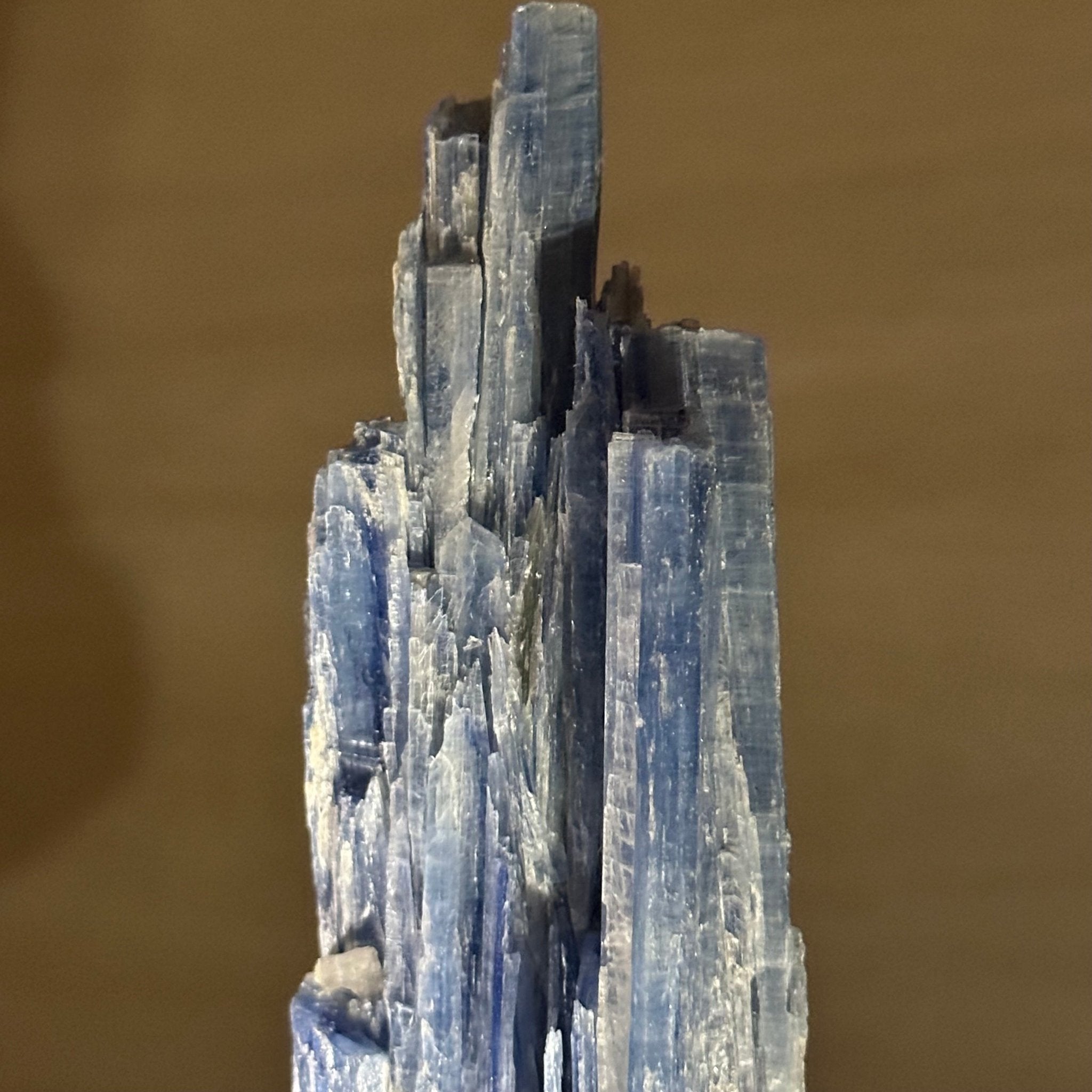 Kyanite Crystal on Metal Stand, 2.1 lbs & 12.5" Tall #6010 - 0008 - Brazil GemsBrazil GemsKyanite Crystal on Metal Stand, 2.1 lbs & 12.5" Tall #6010 - 0008Clusters on Fixed Bases6010 - 0008