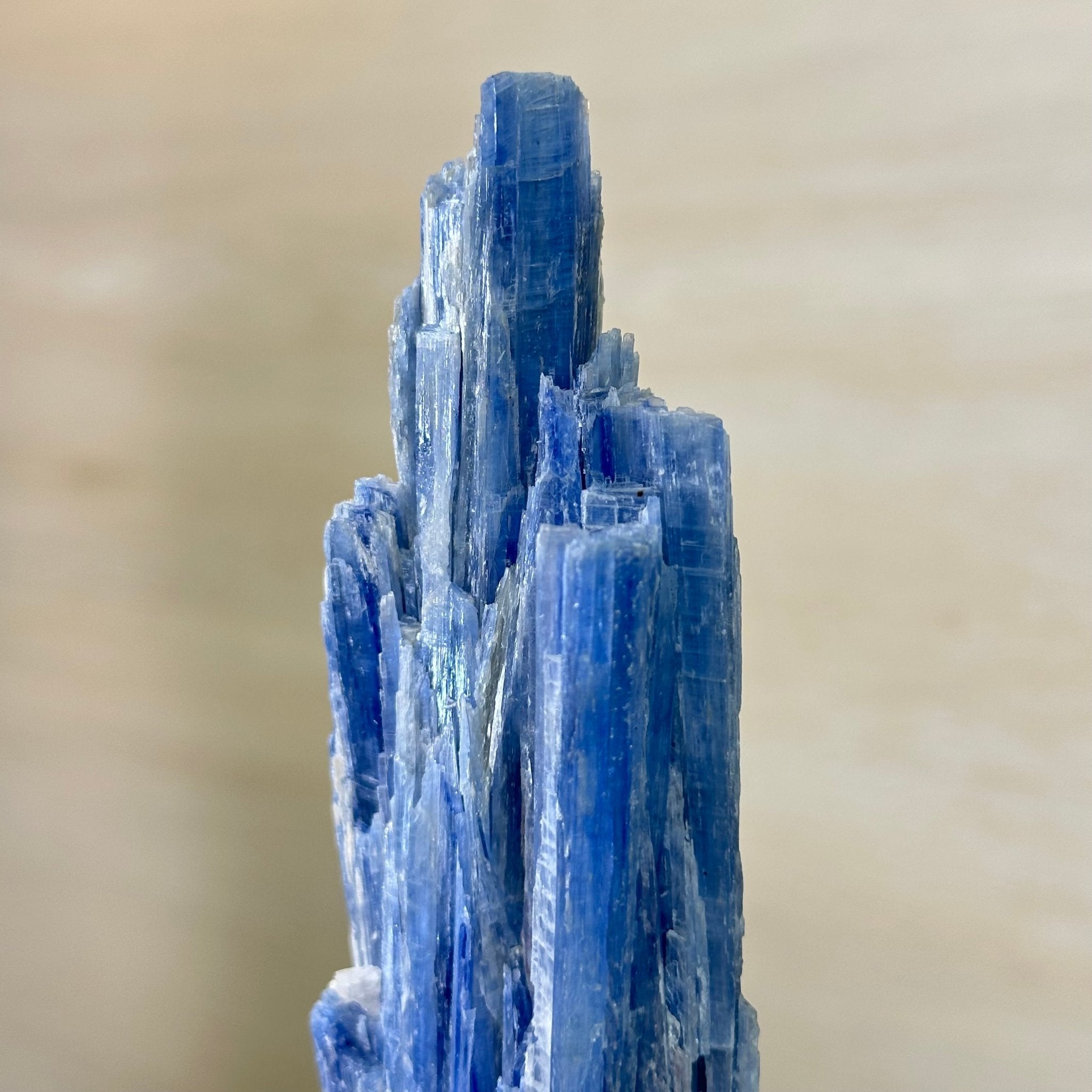 Kyanite Crystal on Metal Stand, 2.1 lbs & 12.5" Tall #6010 - 0008 - Brazil GemsBrazil GemsKyanite Crystal on Metal Stand, 2.1 lbs & 12.5" Tall #6010 - 0008Clusters on Fixed Bases6010 - 0008