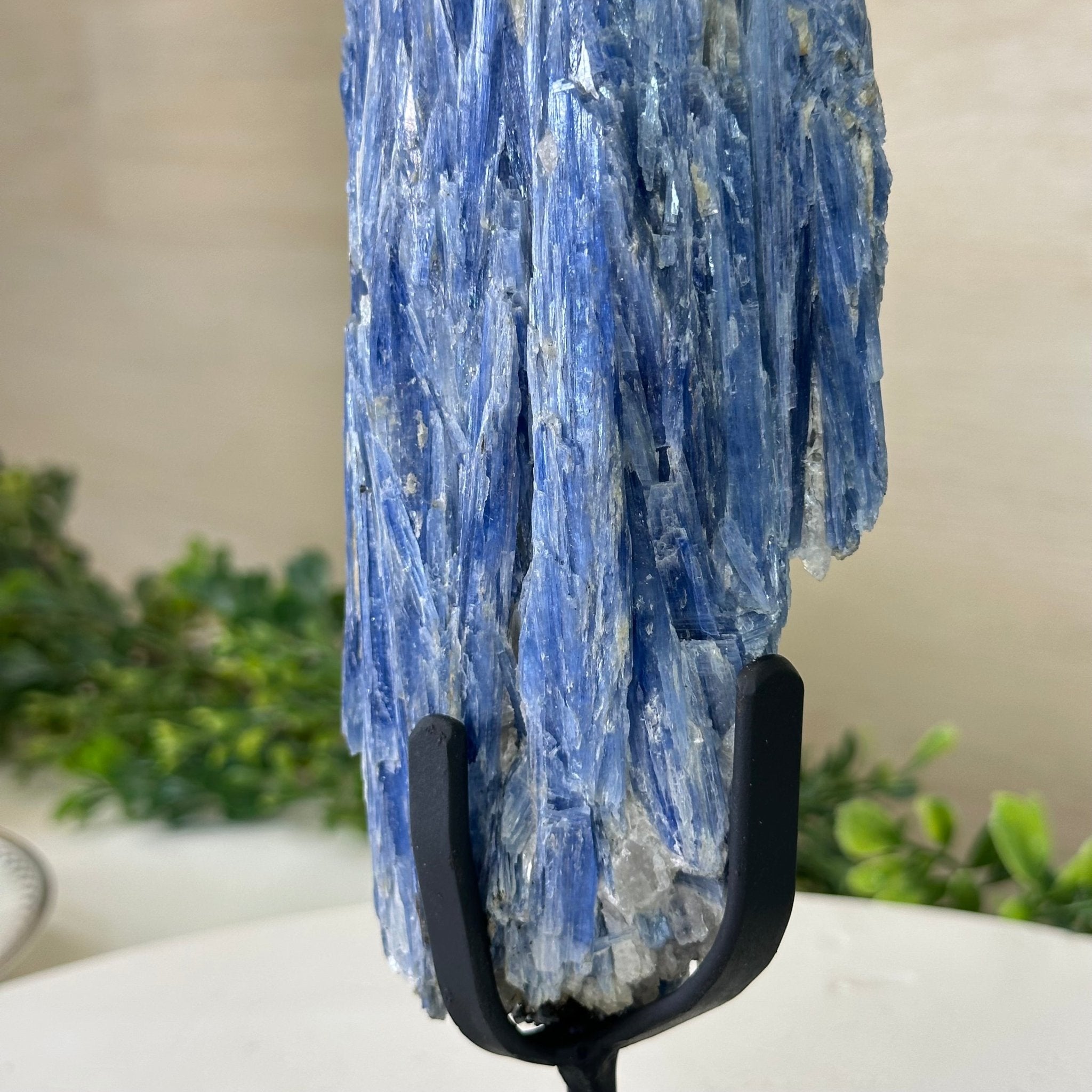 Kyanite Crystal on Metal Stand, 2.2 lbs & 10.5" Tall #6010 - 0012 - Brazil GemsBrazil GemsKyanite Crystal on Metal Stand, 2.2 lbs & 10.5" Tall #6010 - 0012Clusters on Fixed Bases6010 - 0012