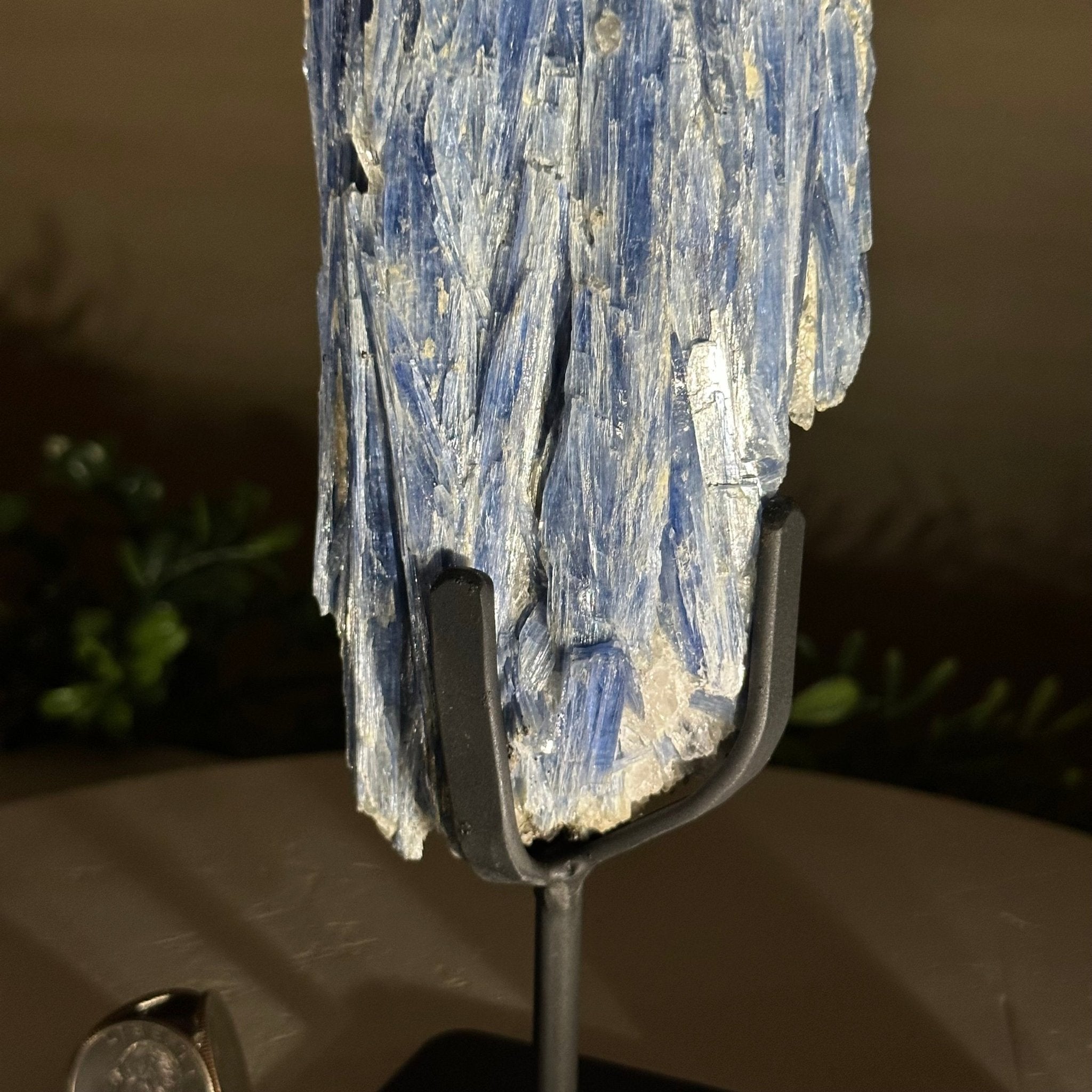 Kyanite Crystal on Metal Stand, 2.2 lbs & 10.5" Tall #6010 - 0012 - Brazil GemsBrazil GemsKyanite Crystal on Metal Stand, 2.2 lbs & 10.5" Tall #6010 - 0012Clusters on Fixed Bases6010 - 0012