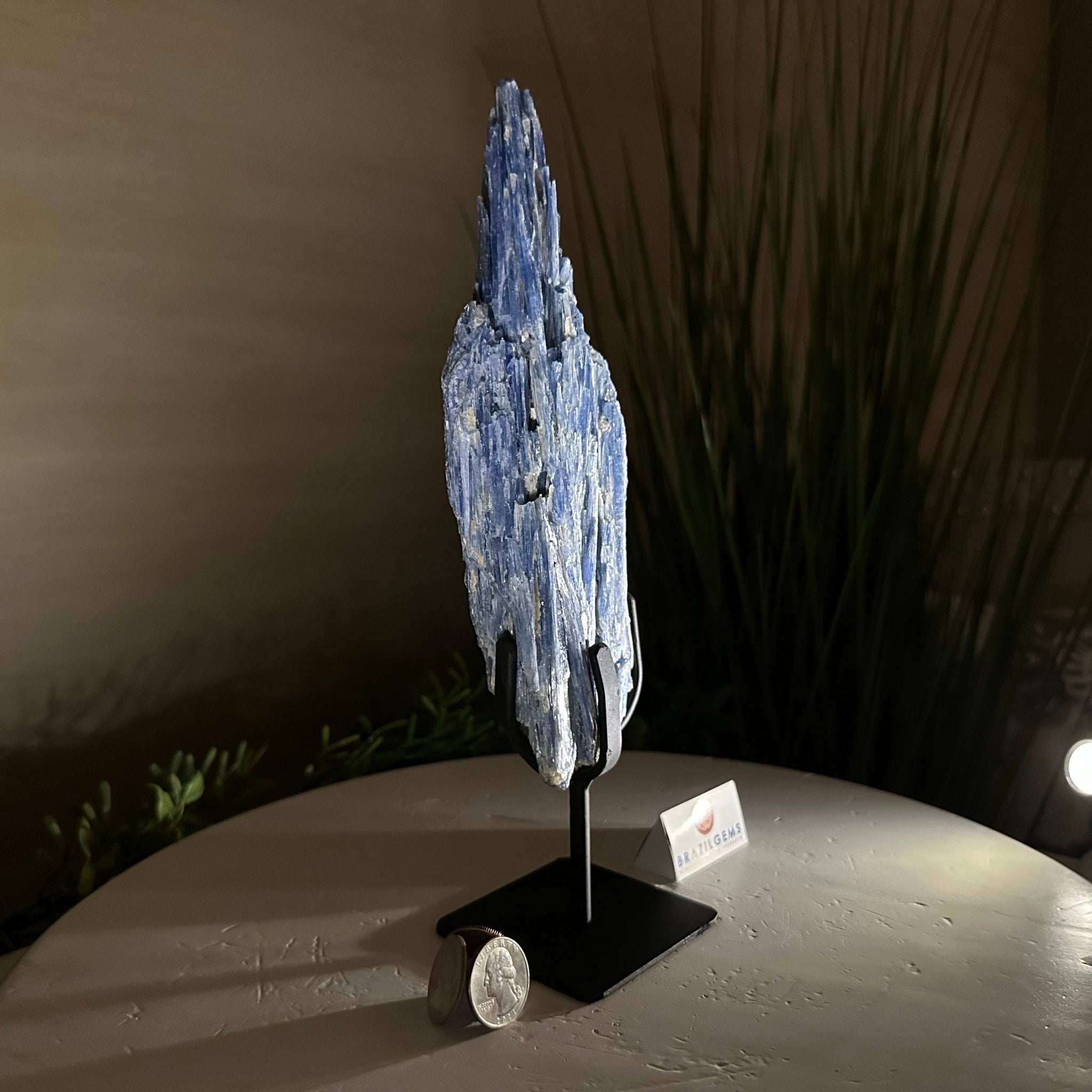 Kyanite Crystal on Metal Stand, 2.2 lbs & 10.5" Tall #6010 - 0012 - Brazil GemsBrazil GemsKyanite Crystal on Metal Stand, 2.2 lbs & 10.5" Tall #6010 - 0012Clusters on Fixed Bases6010 - 0012