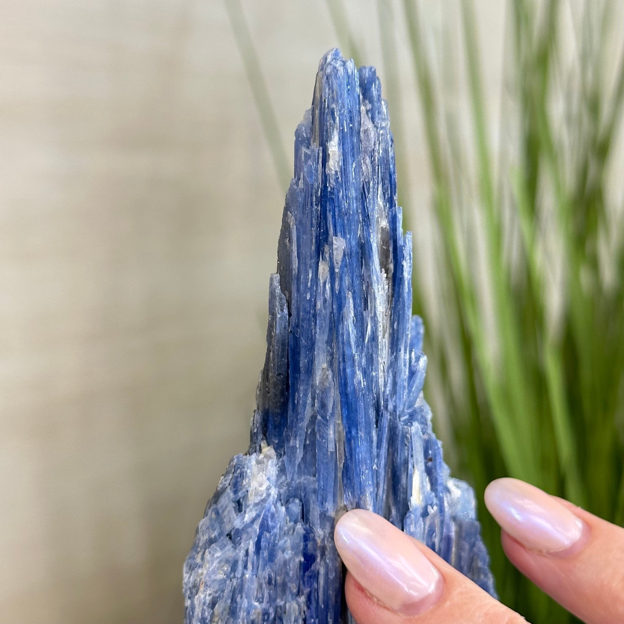 Kyanite Crystal on Metal Stand, 2.2 lbs & 10.5" Tall #6010 - 0012 - Brazil GemsBrazil GemsKyanite Crystal on Metal Stand, 2.2 lbs & 10.5" Tall #6010 - 0012Clusters on Fixed Bases6010 - 0012