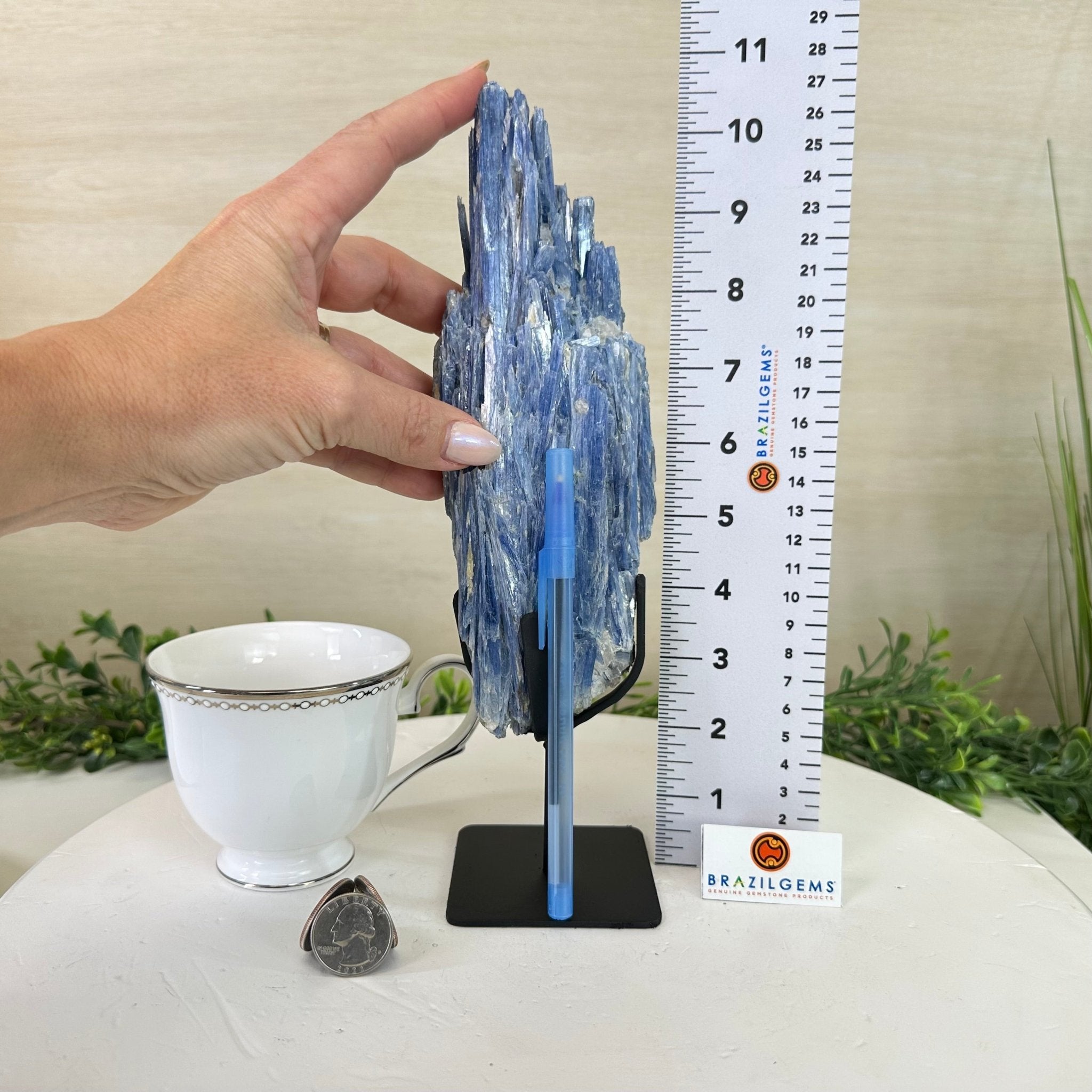 Kyanite Crystal on Metal Stand, 2.2 lbs & 10.5" Tall #6010 - 0012 - Brazil GemsBrazil GemsKyanite Crystal on Metal Stand, 2.2 lbs & 10.5" Tall #6010 - 0012Clusters on Fixed Bases6010 - 0012