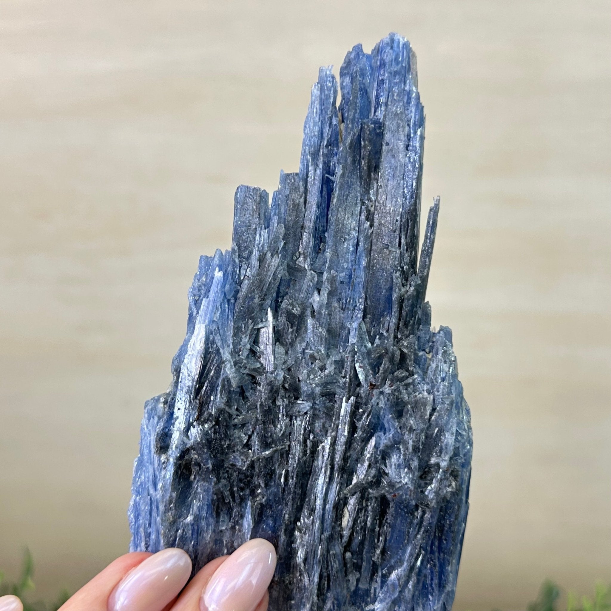 Kyanite Crystal on Metal Stand, 2.2 lbs & 10.5" Tall #6010 - 0012 - Brazil GemsBrazil GemsKyanite Crystal on Metal Stand, 2.2 lbs & 10.5" Tall #6010 - 0012Clusters on Fixed Bases6010 - 0012