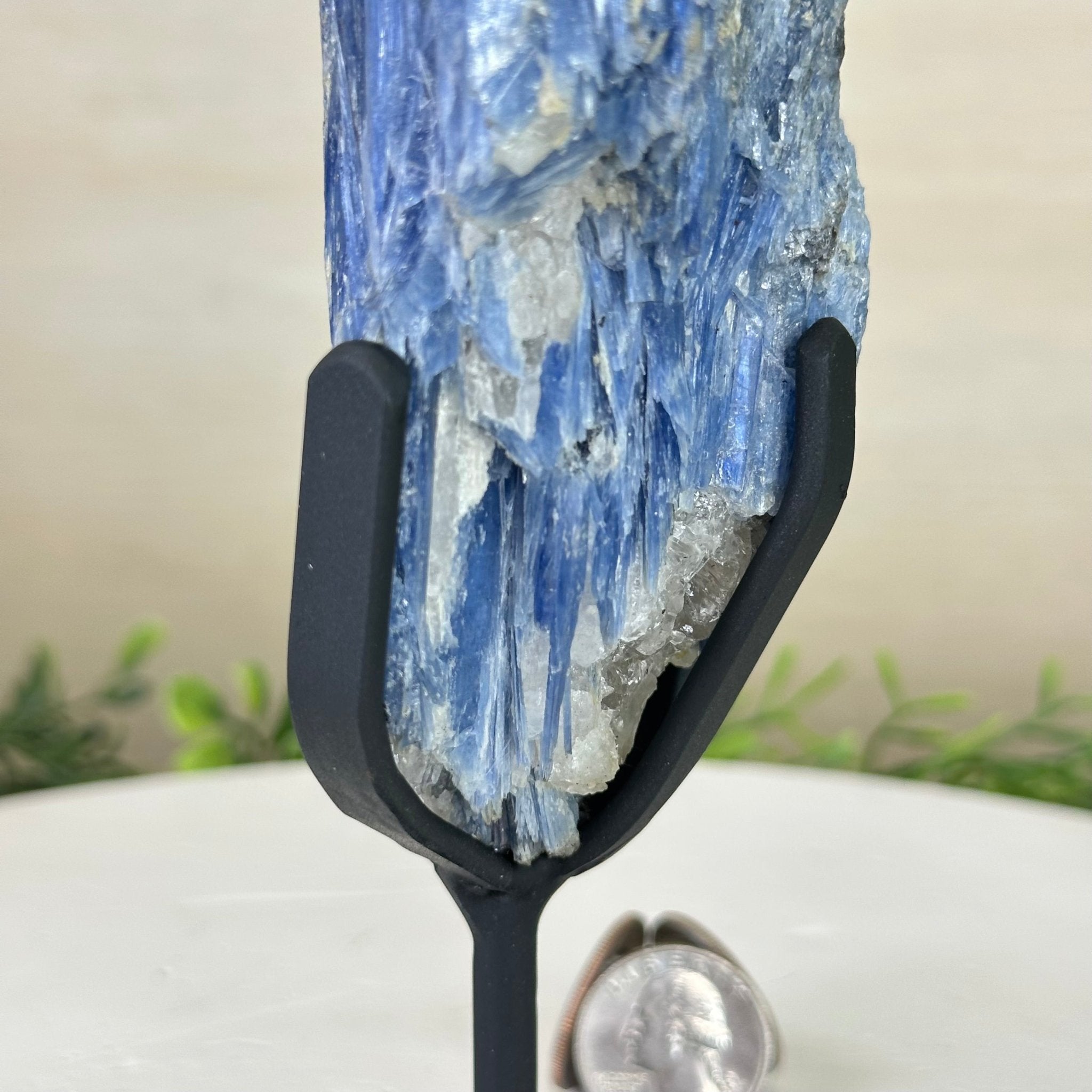 Kyanite Crystal on Metal Stand, 2.2 lbs & 10.5" Tall #6010 - 0012 - Brazil GemsBrazil GemsKyanite Crystal on Metal Stand, 2.2 lbs & 10.5" Tall #6010 - 0012Clusters on Fixed Bases6010 - 0012