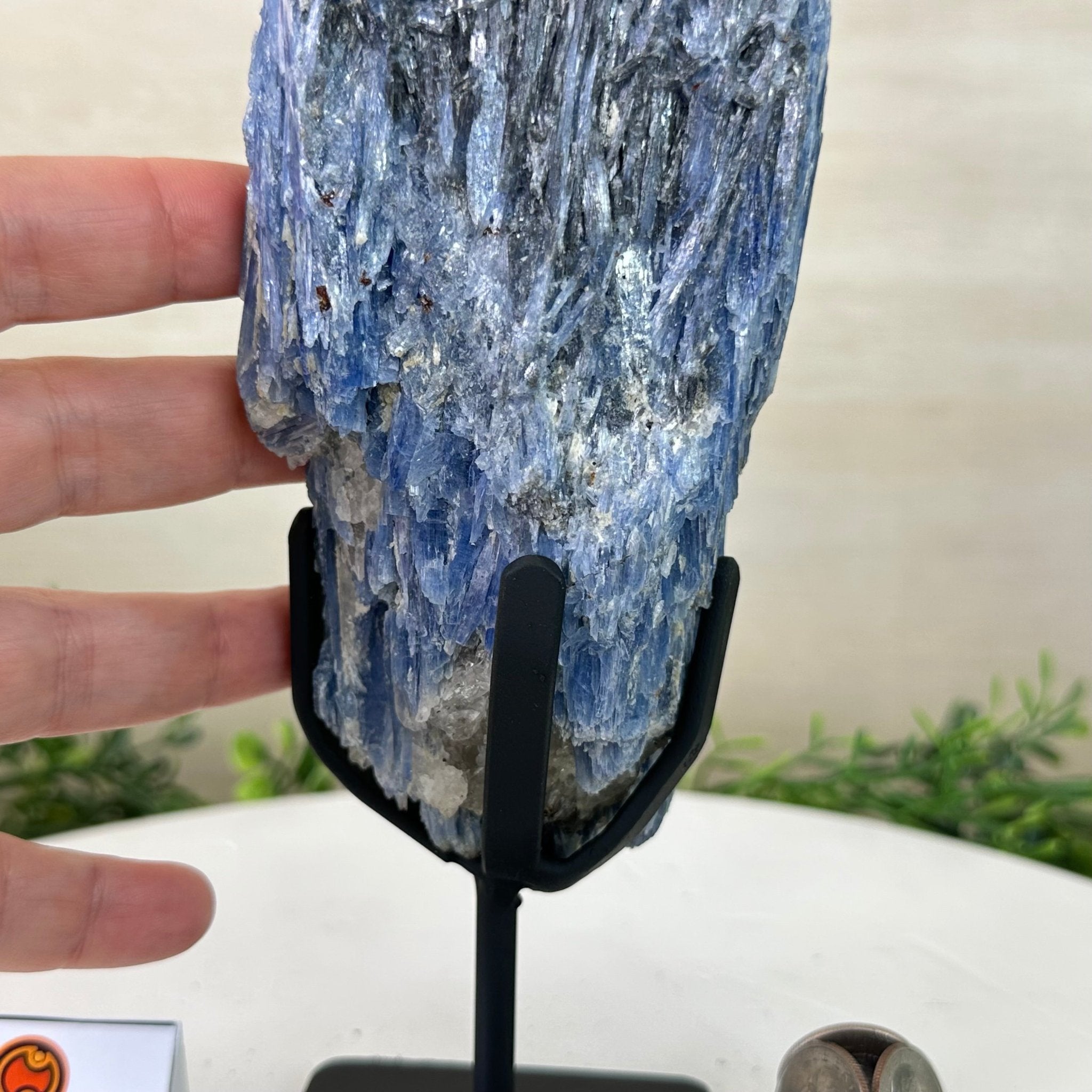 Kyanite Crystal on Metal Stand, 2.2 lbs & 10.5" Tall #6010 - 0012 - Brazil GemsBrazil GemsKyanite Crystal on Metal Stand, 2.2 lbs & 10.5" Tall #6010 - 0012Clusters on Fixed Bases6010 - 0012