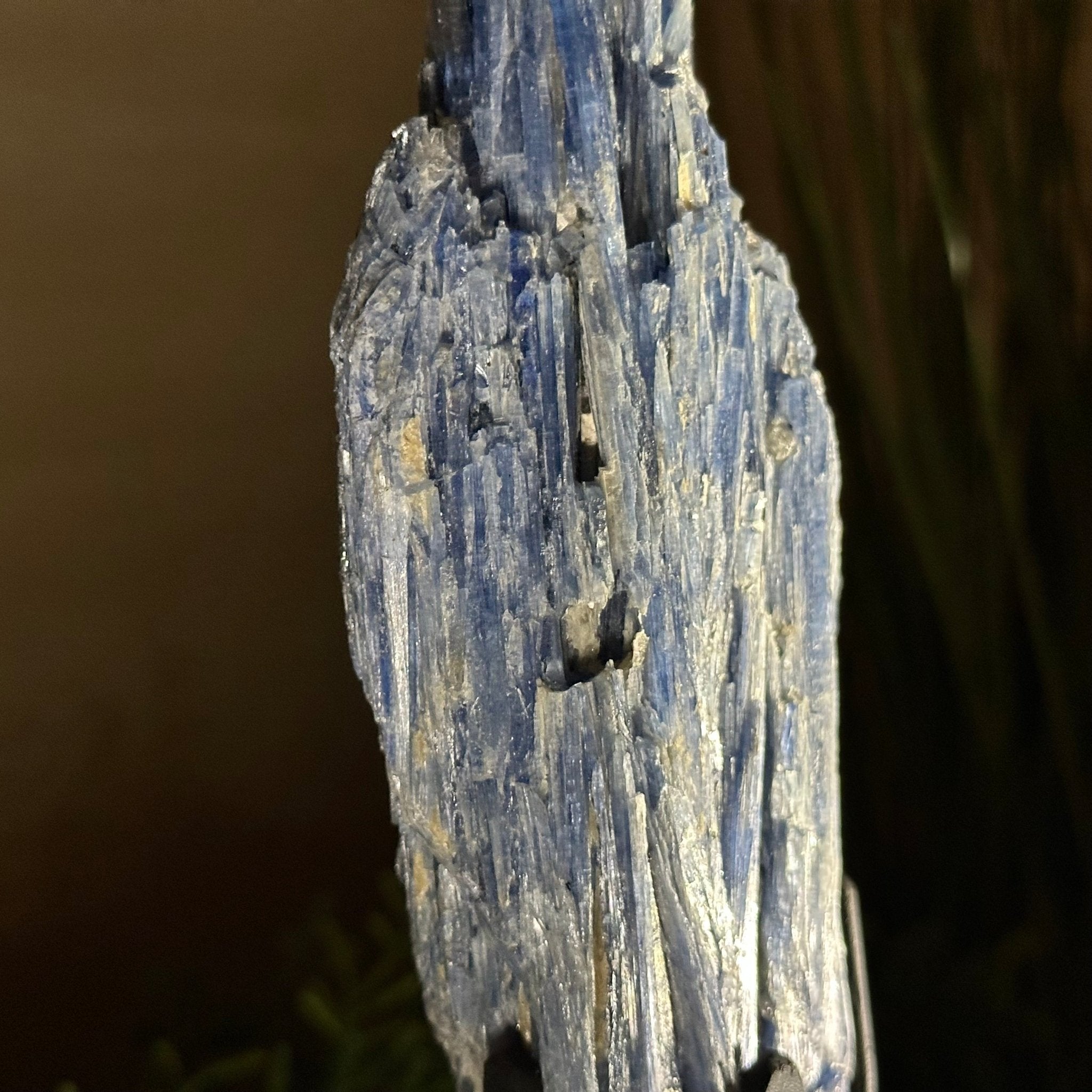 Kyanite Crystal on Metal Stand, 2.2 lbs & 10.5" Tall #6010 - 0012 - Brazil GemsBrazil GemsKyanite Crystal on Metal Stand, 2.2 lbs & 10.5" Tall #6010 - 0012Clusters on Fixed Bases6010 - 0012